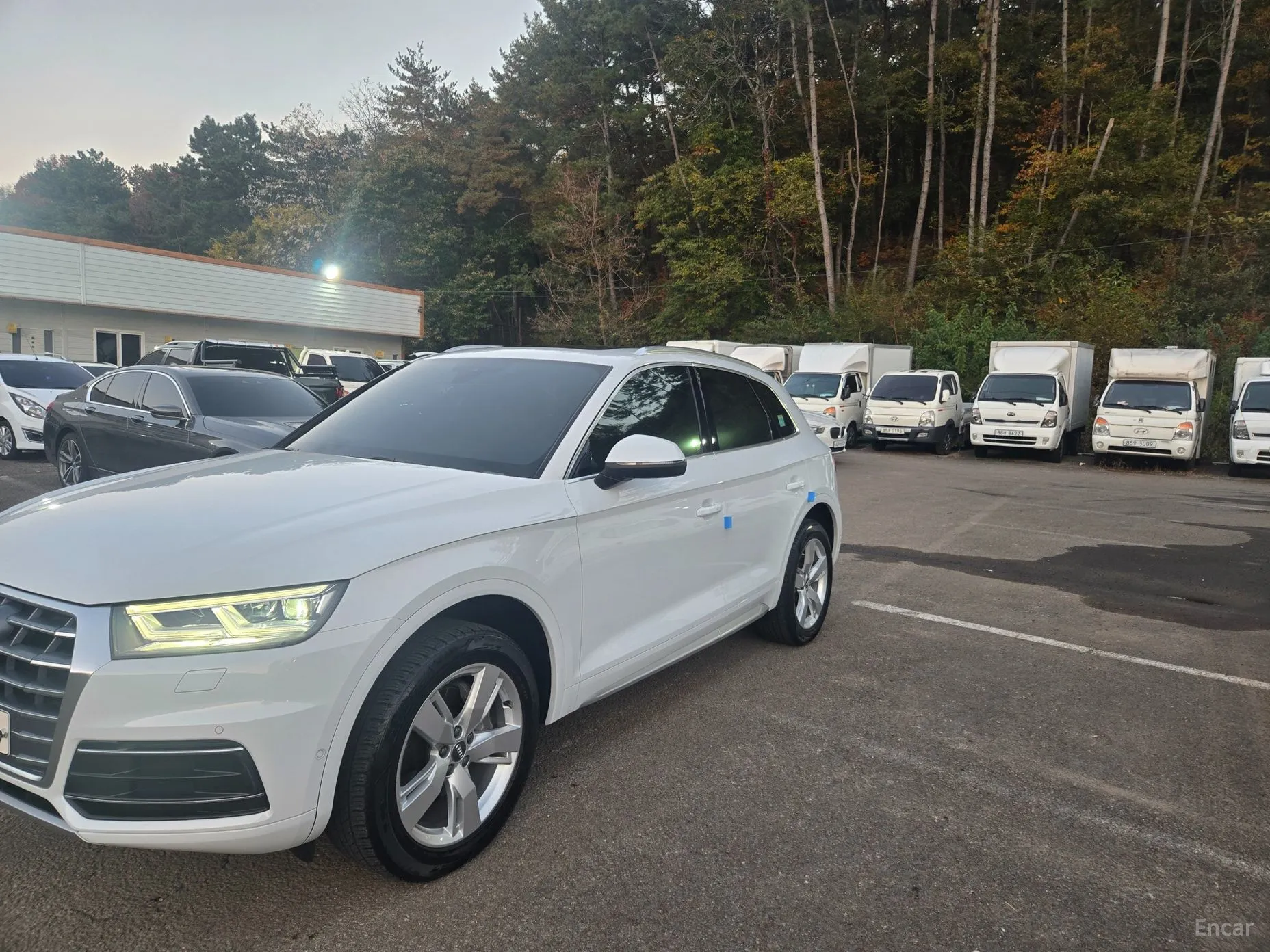 Audi Q5 (FY)