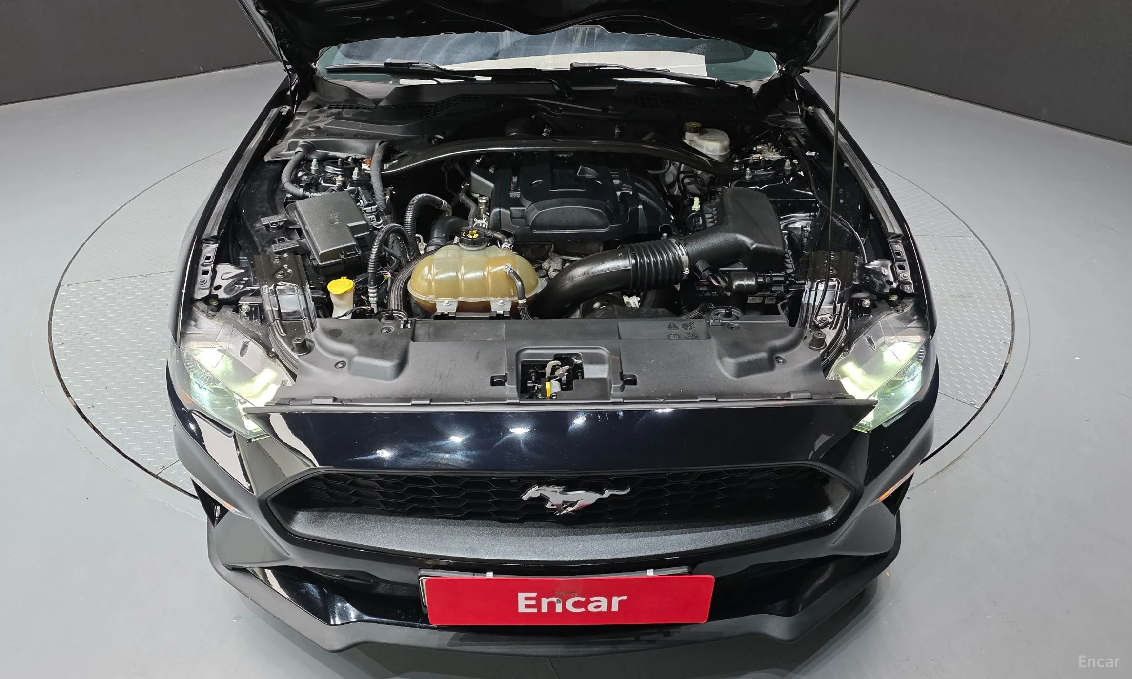 Ford Mustang превью 6