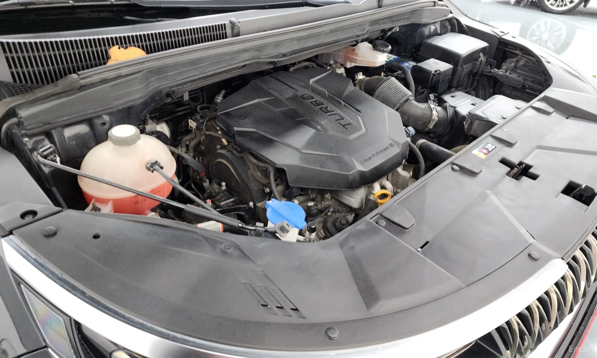 Kia Carnival Gen 4 превью 6