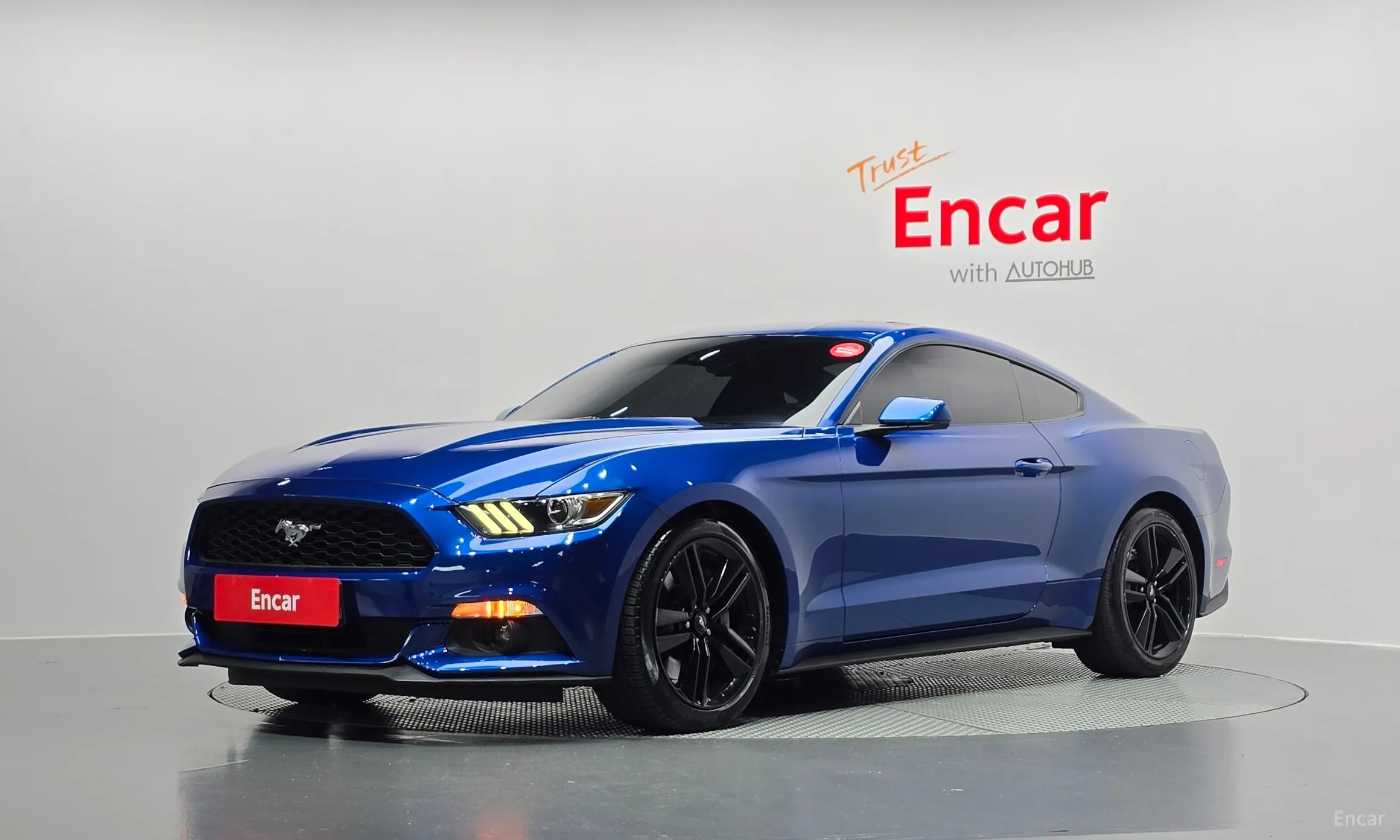 Mustang