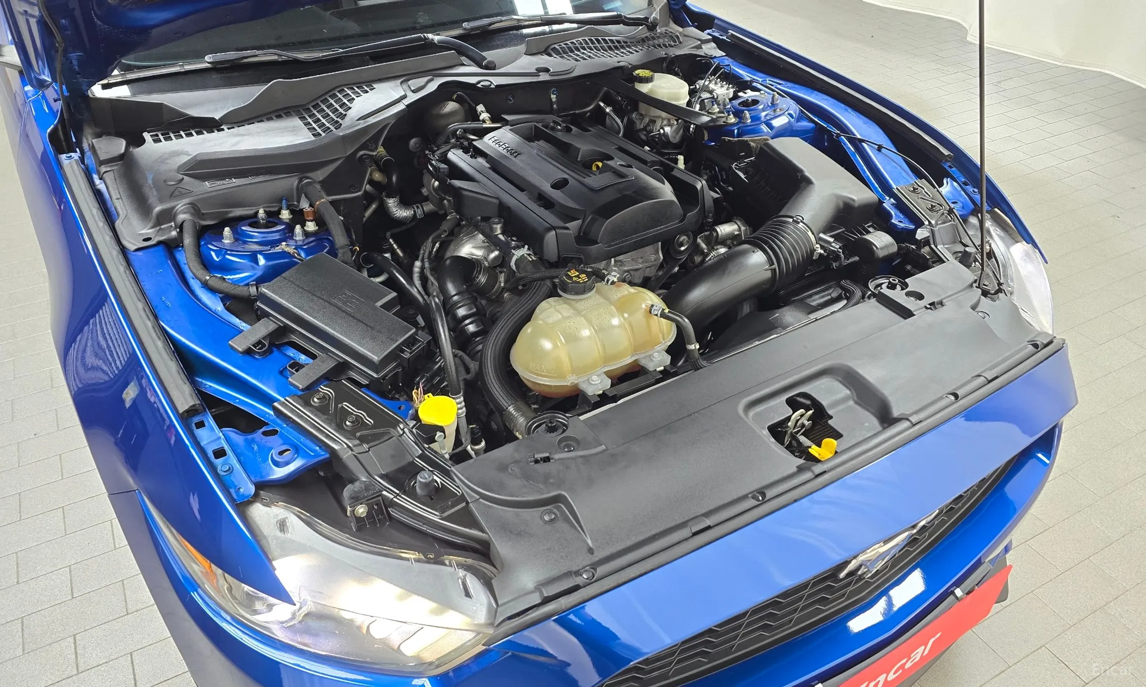 Ford Mustang превью 6