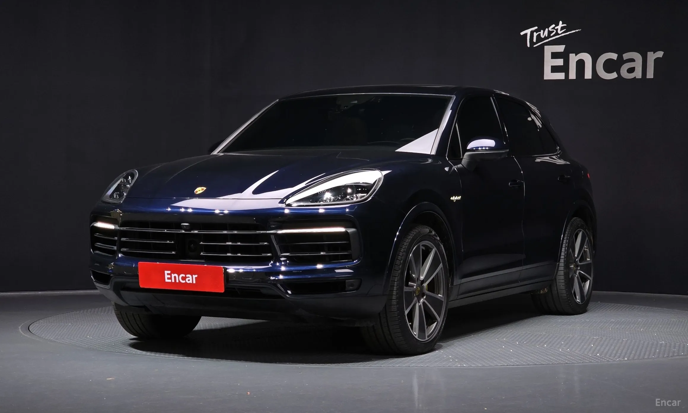 Cayenne (PO536)