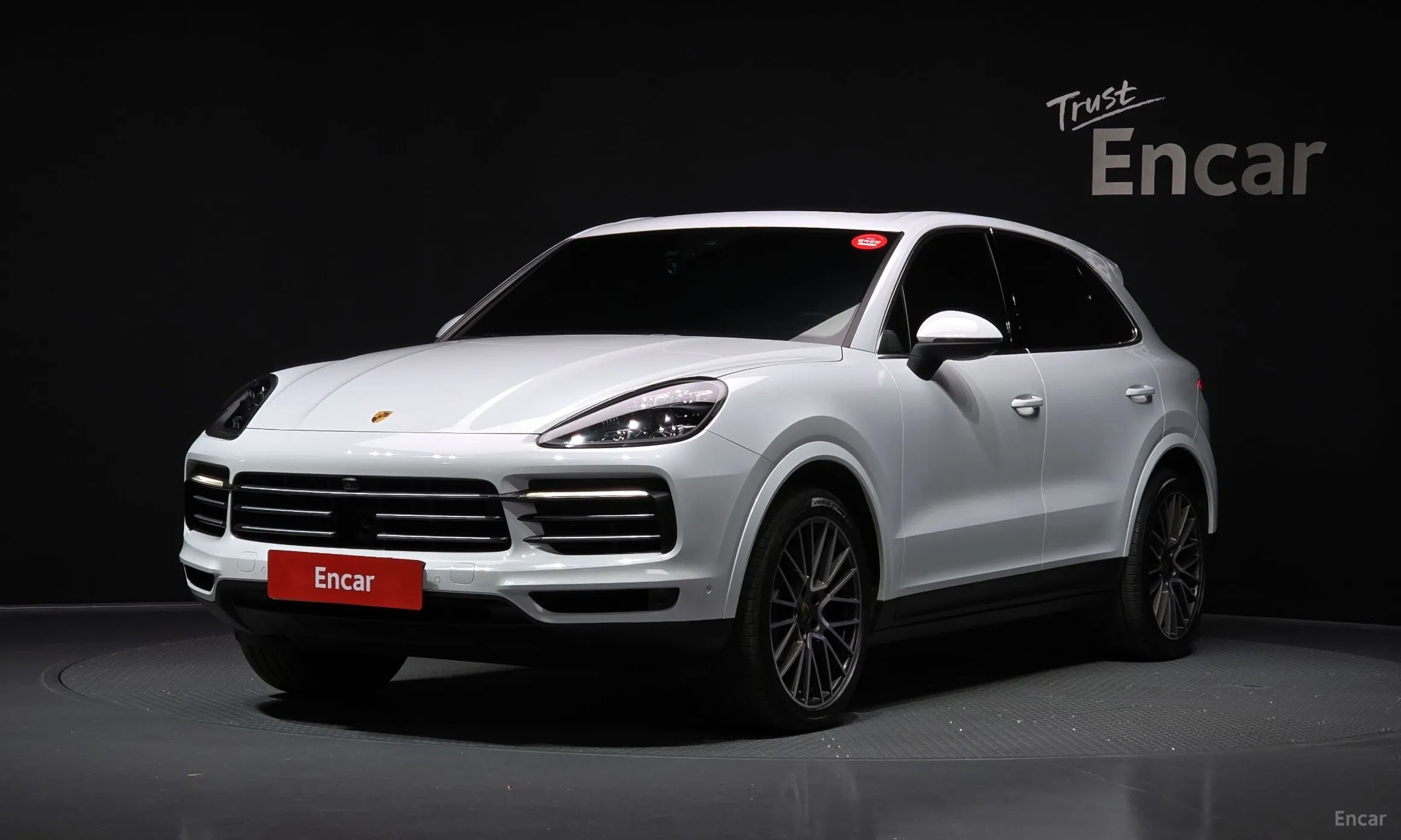 Cayenne (PO536)