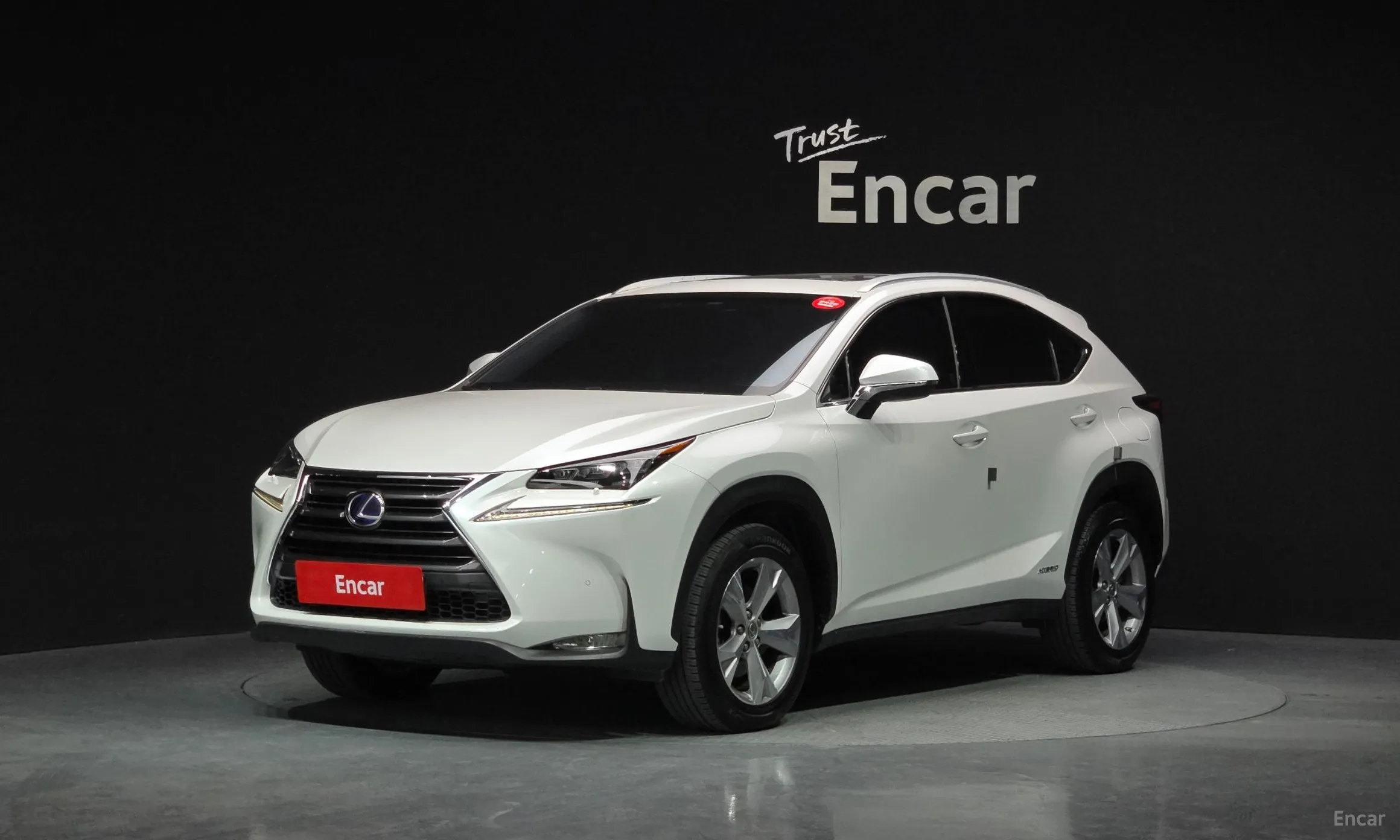 Lexus NX300h