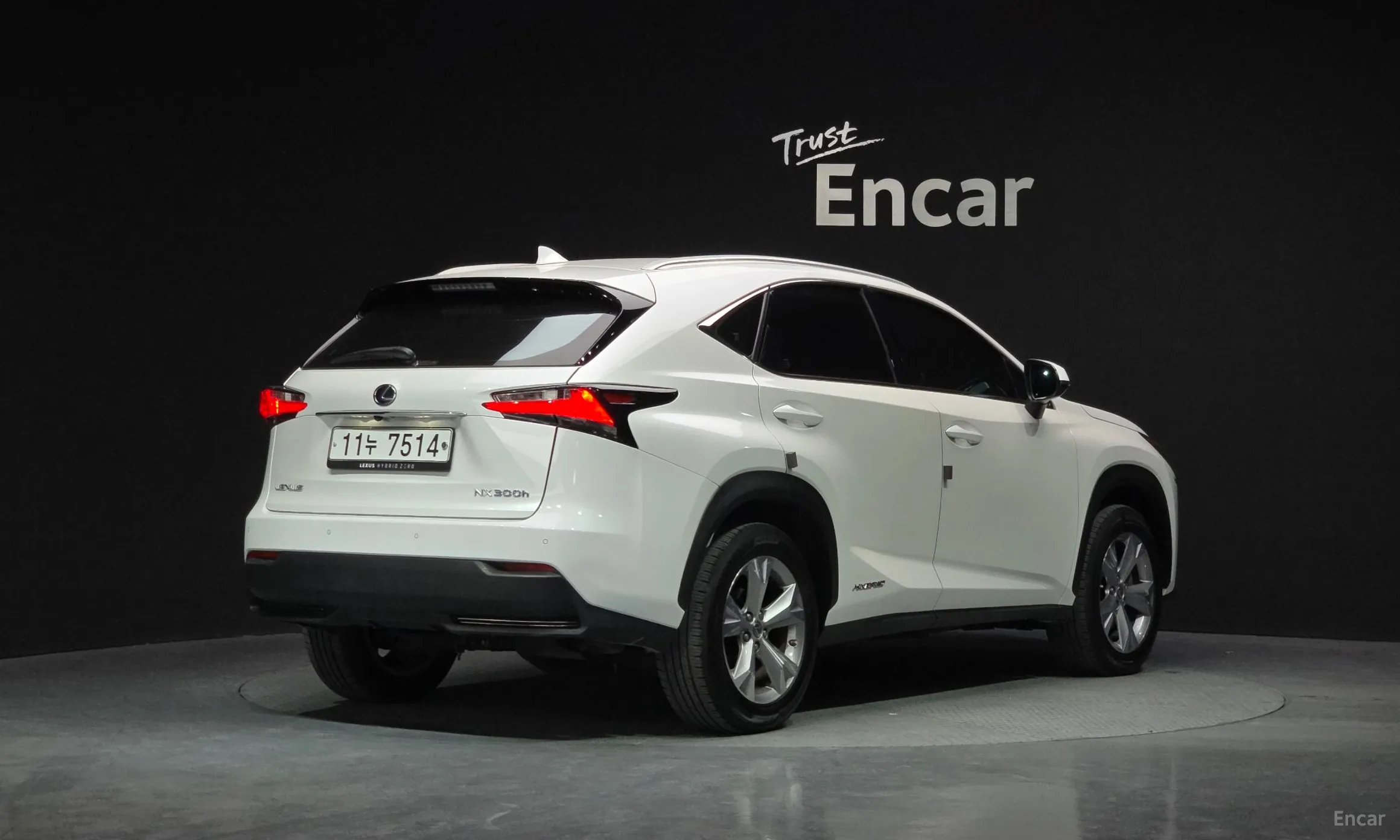 Lexus NX300h
