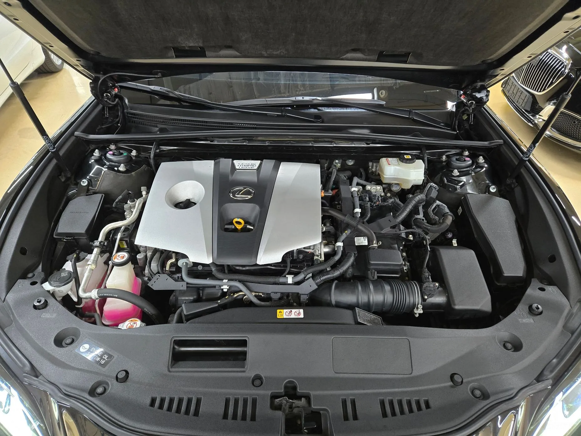 Lexus ES300h 7th Generation превью 7