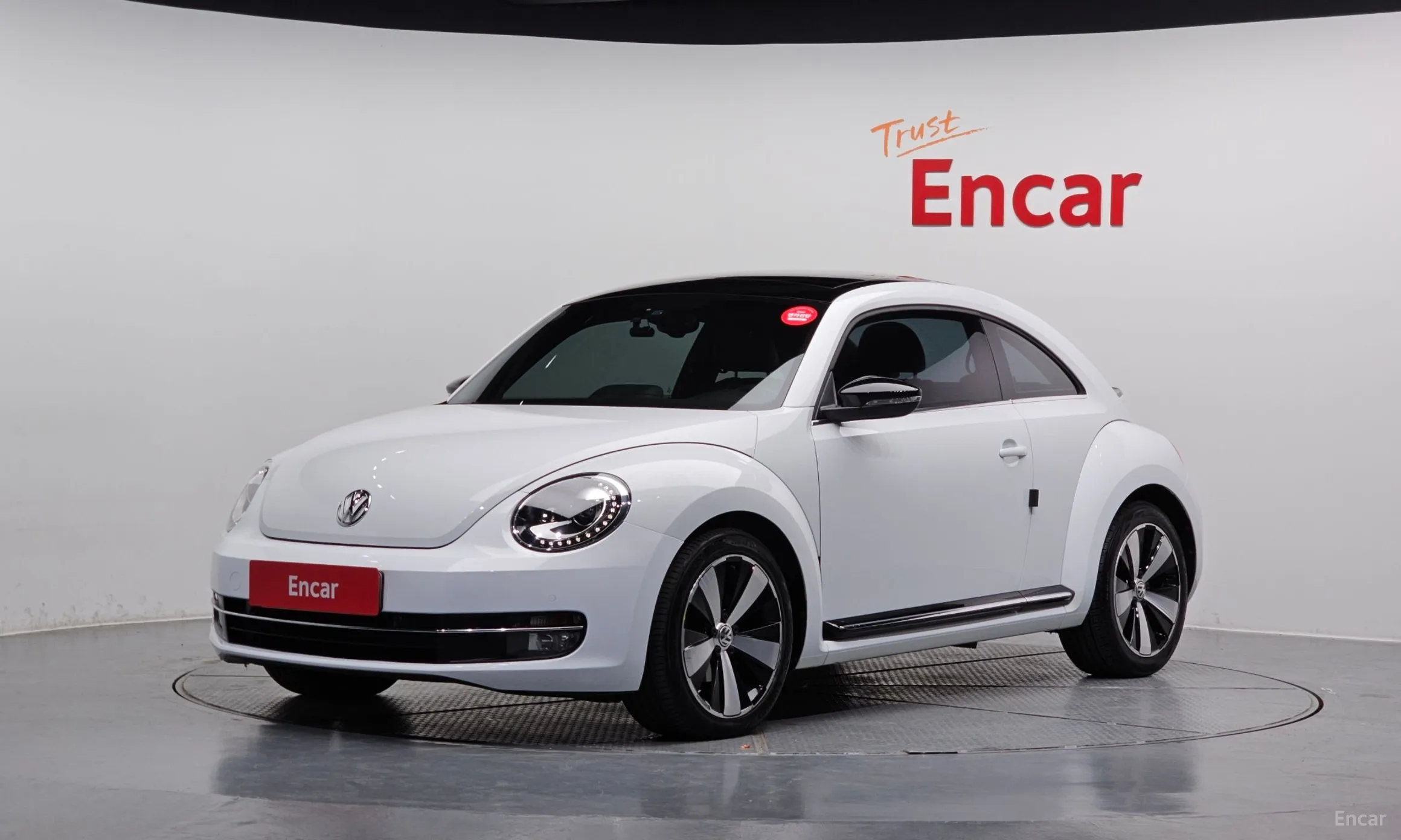 The Beetle