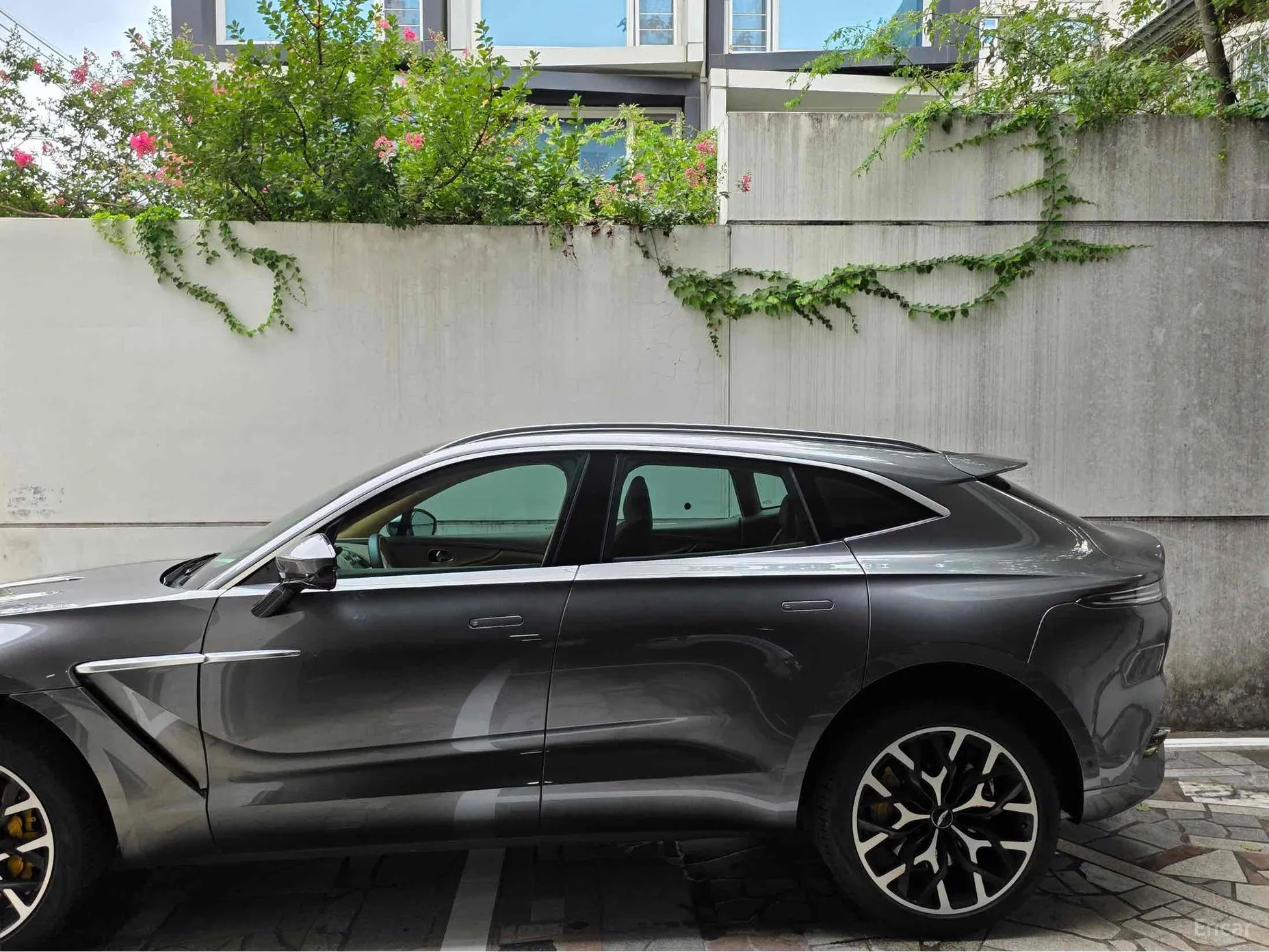 Aston Martin Dbx превью 4