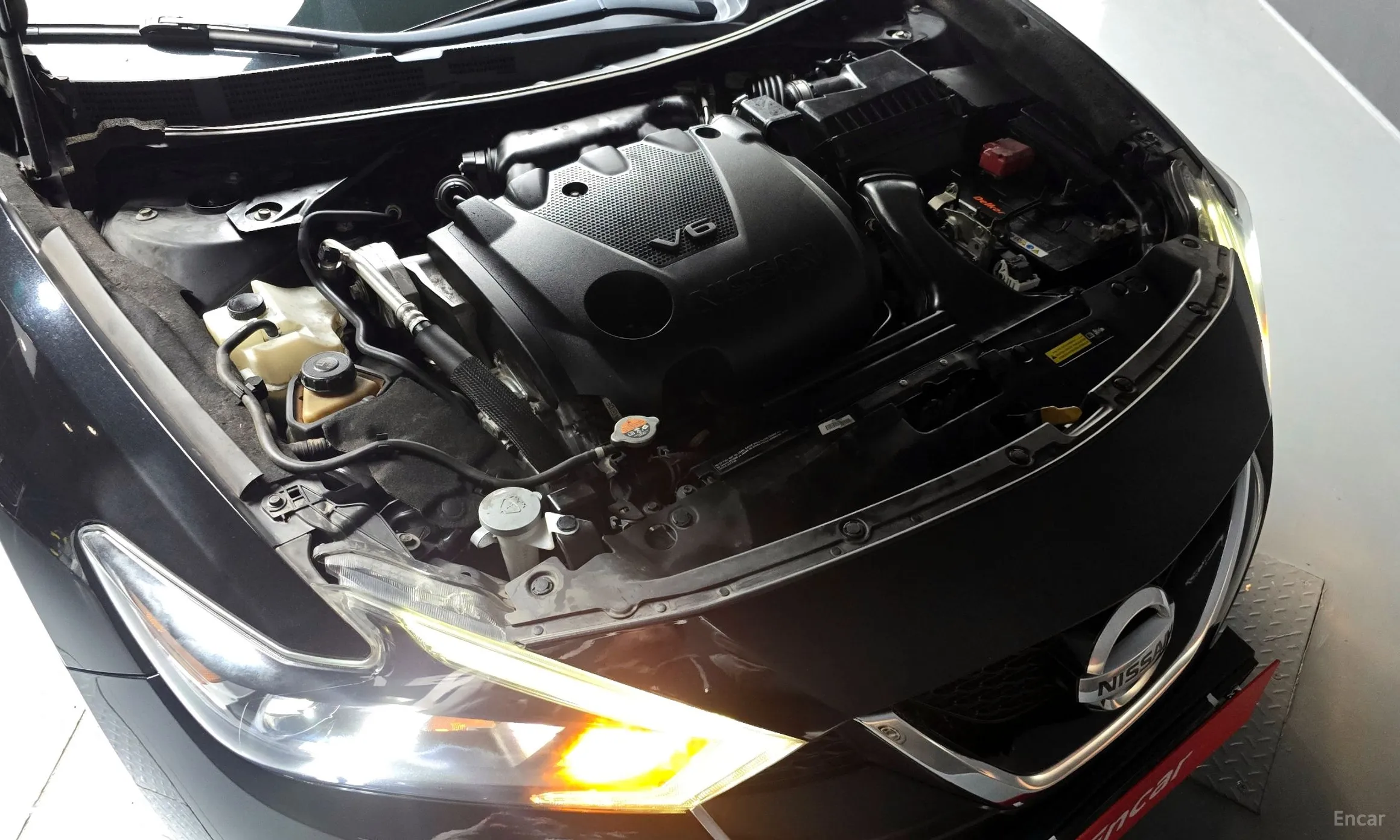 Nissan Maxima (A36) превью 6