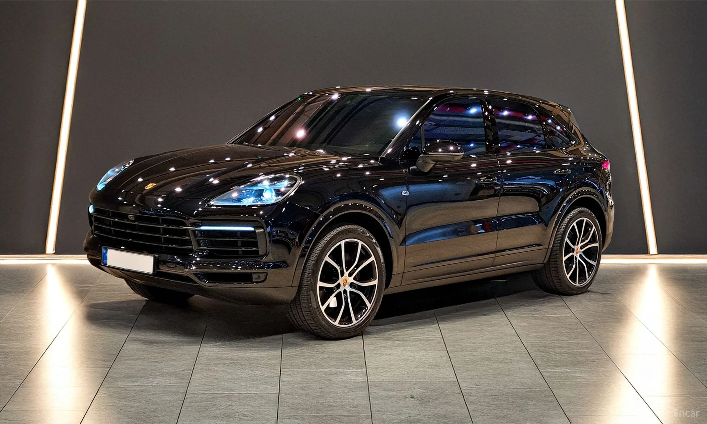 Cayenne (PO536)