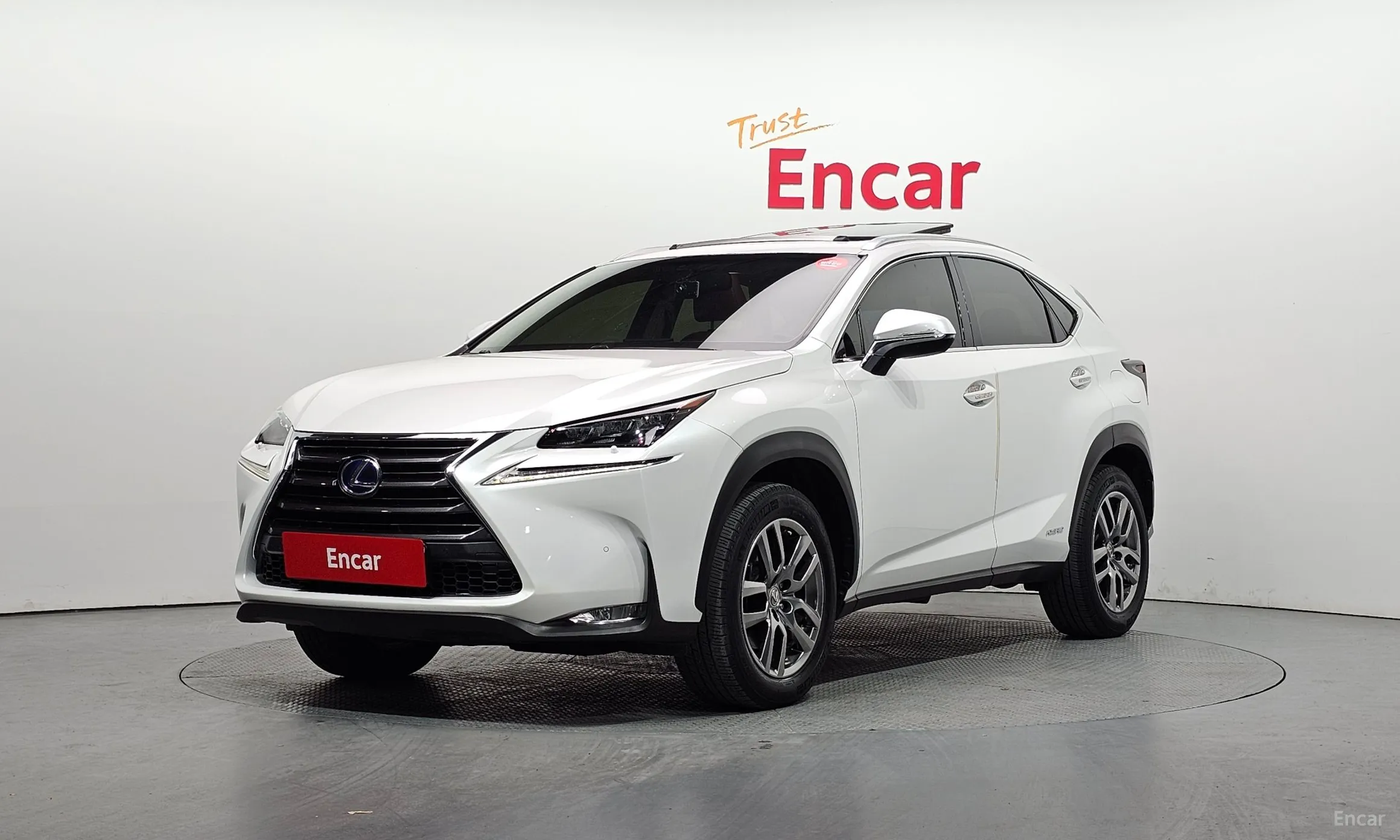 Lexus NX300h