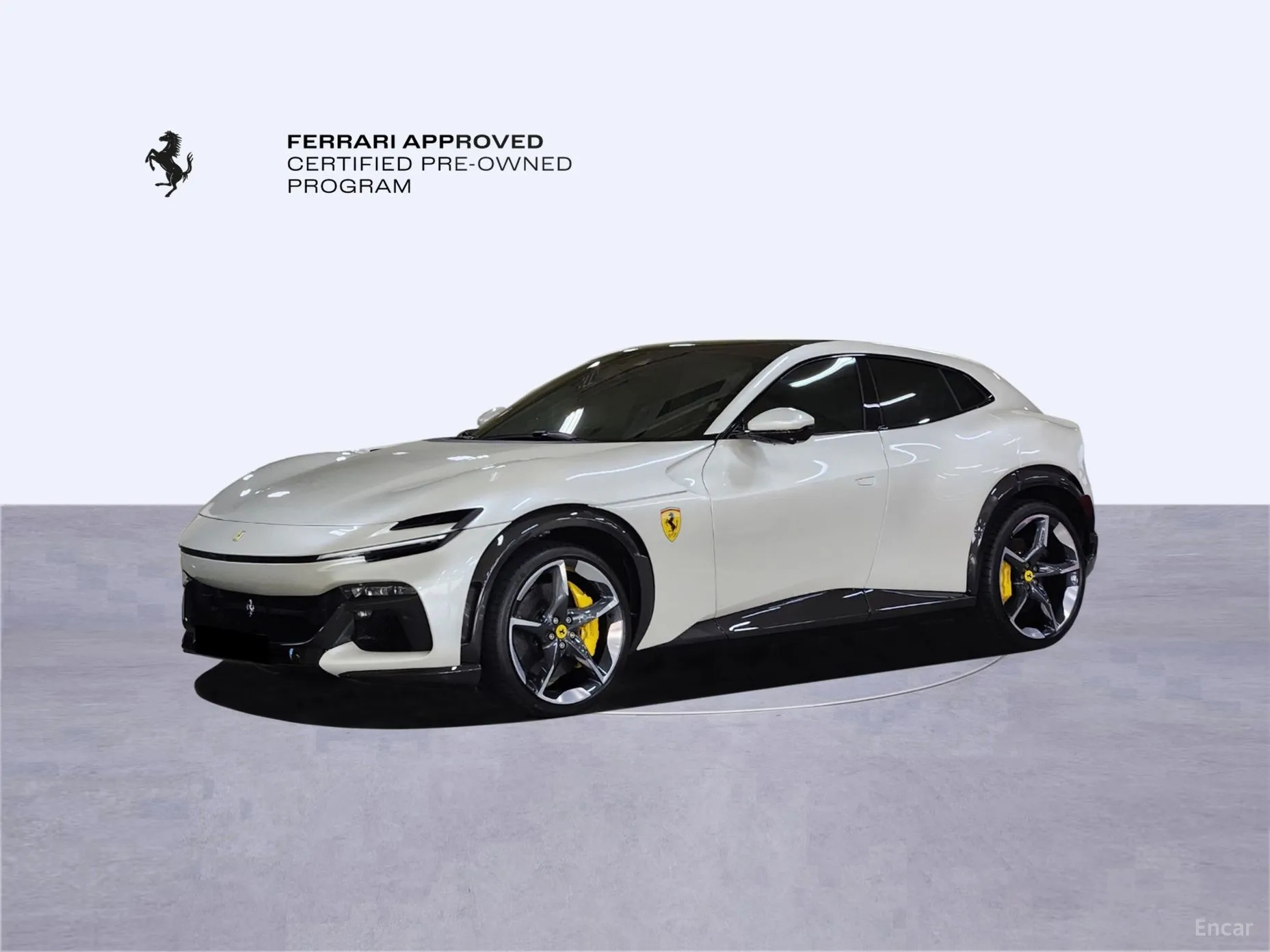 Ferrari Puro Sange превью 10