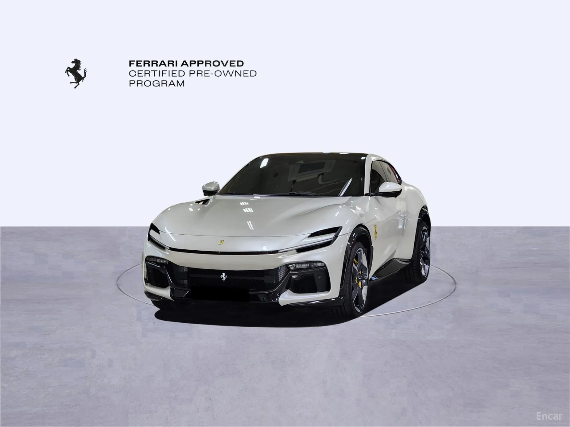 Ferrari Puro Sange превью 11
