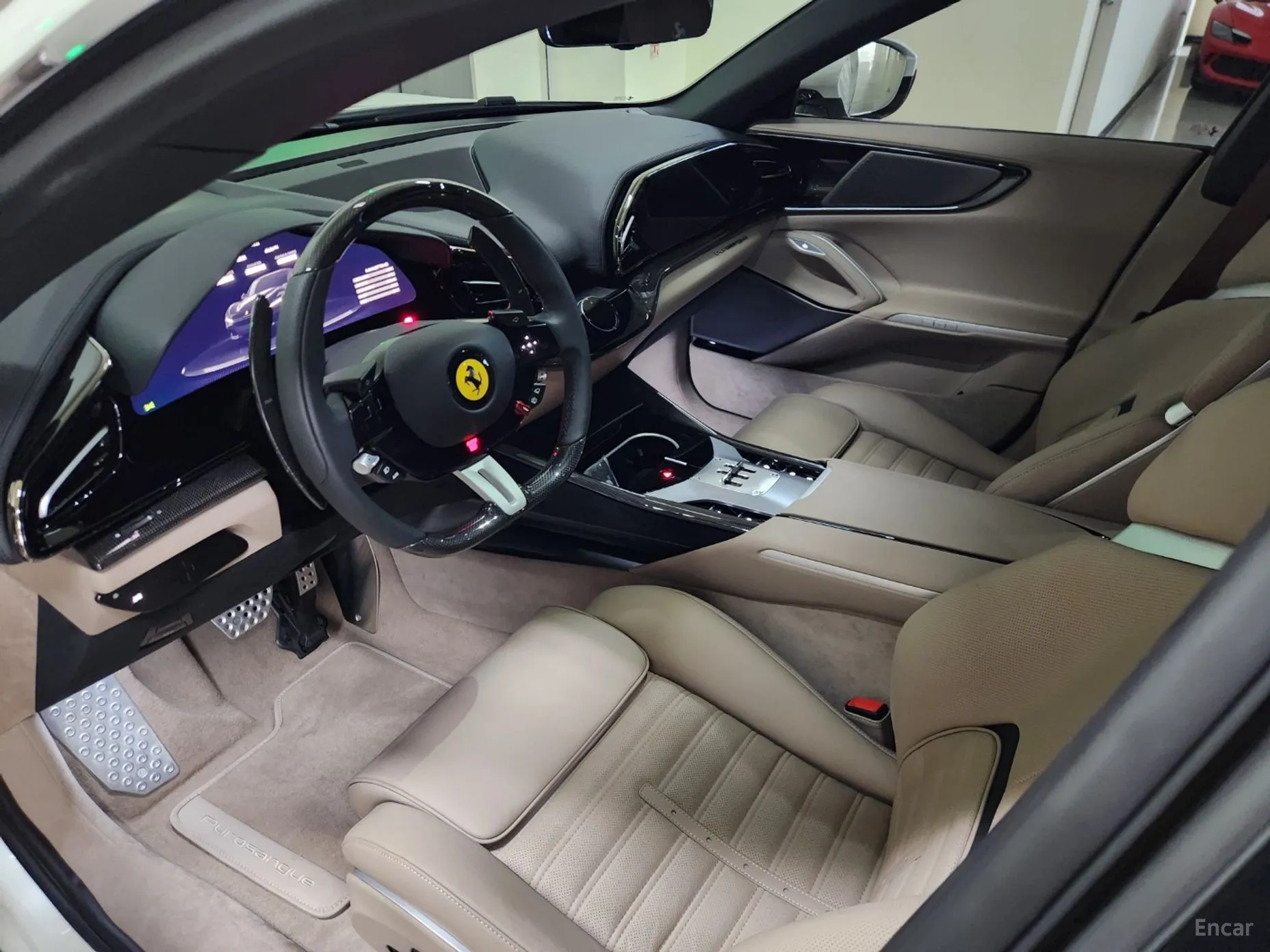 Ferrari Puro Sange превью 16