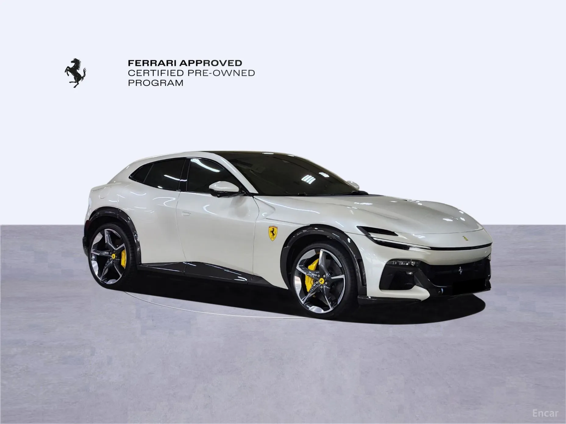 Ferrari Puro Sange превью 4