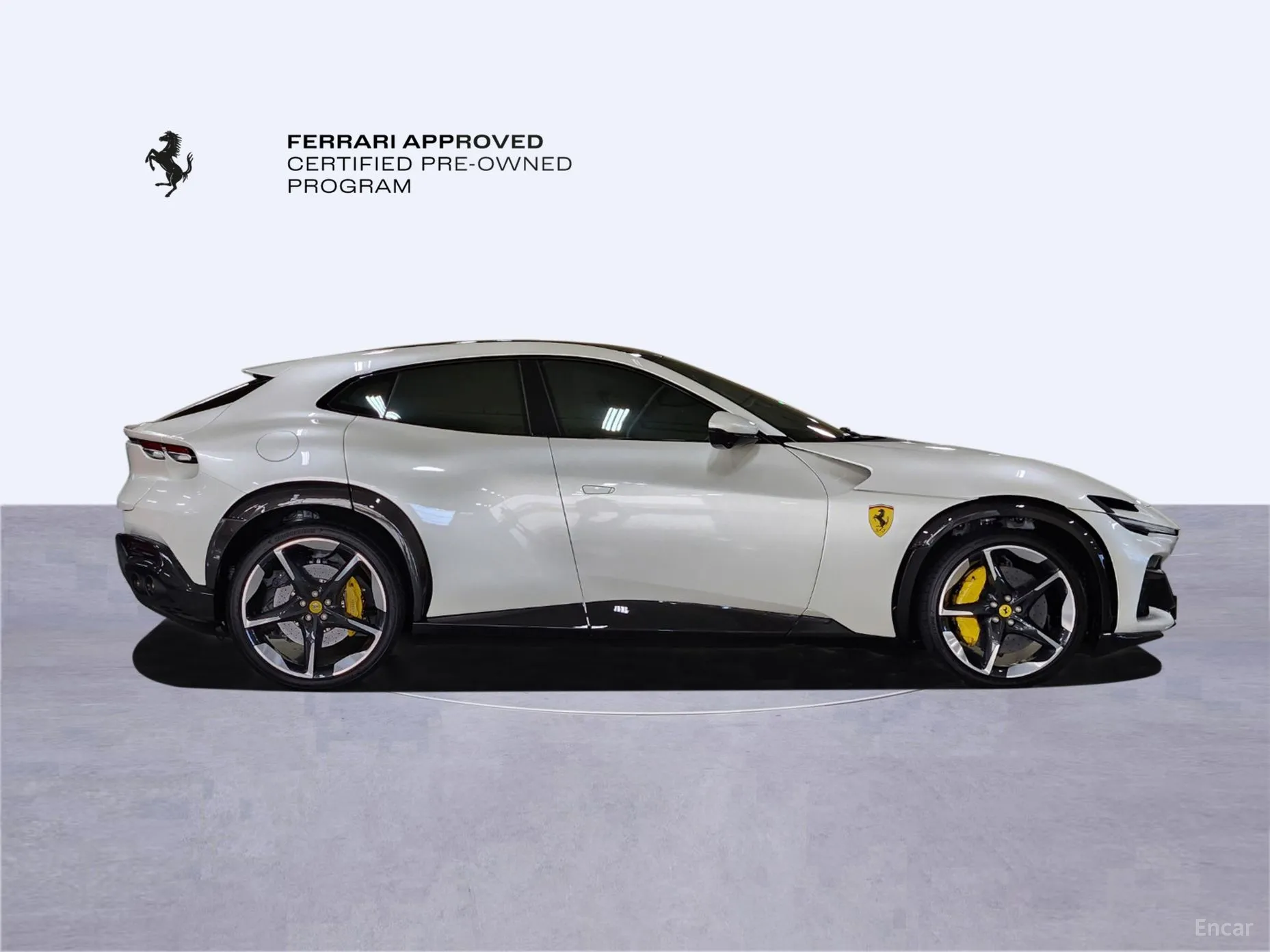 Ferrari Puro Sange превью 6