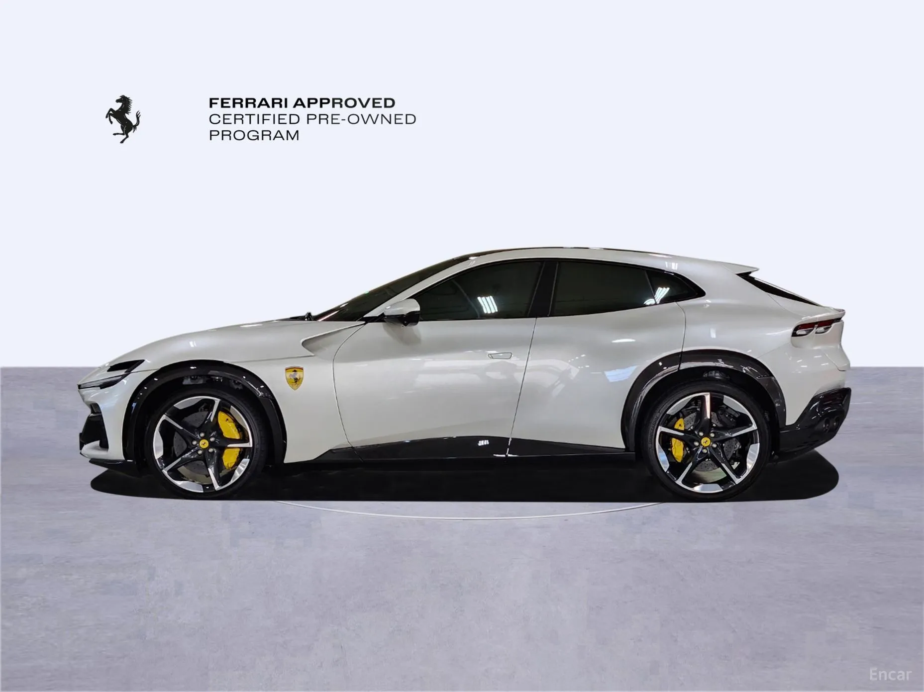 Ferrari Puro Sange превью 8