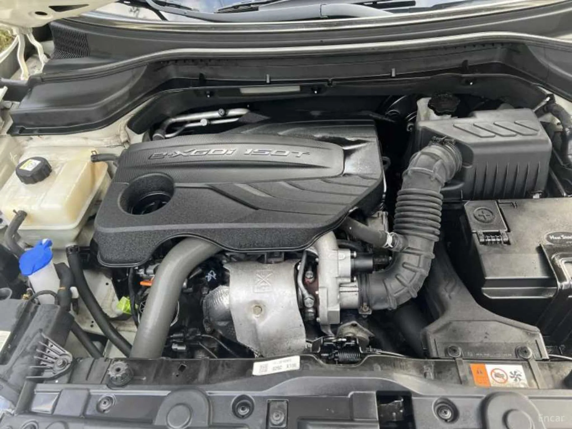 KG Mobility (SsangYong) Berry New Tivoli превью 11