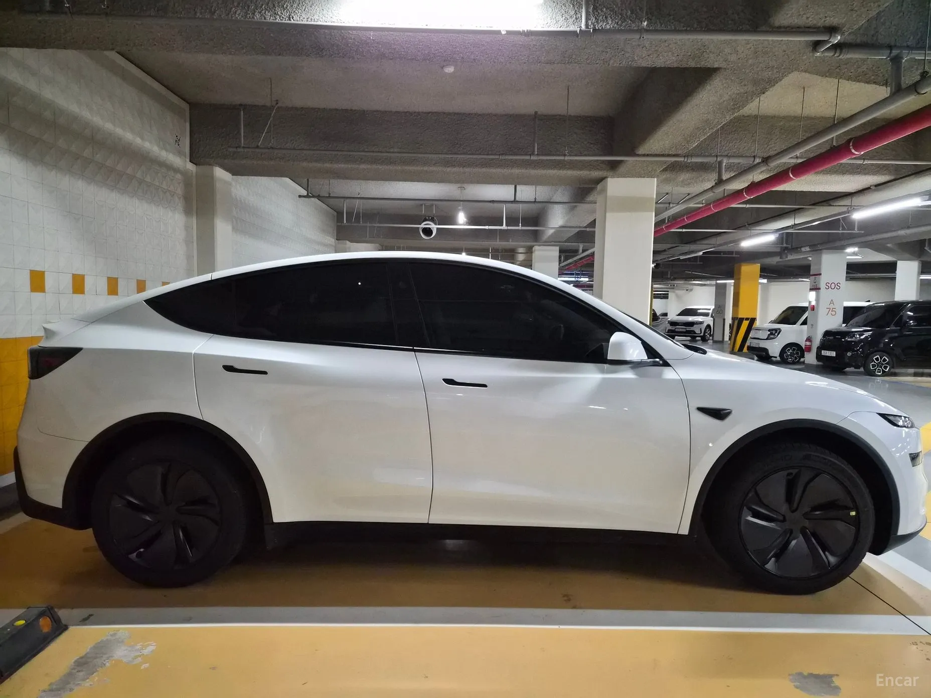 Tesla Model Y превью 4