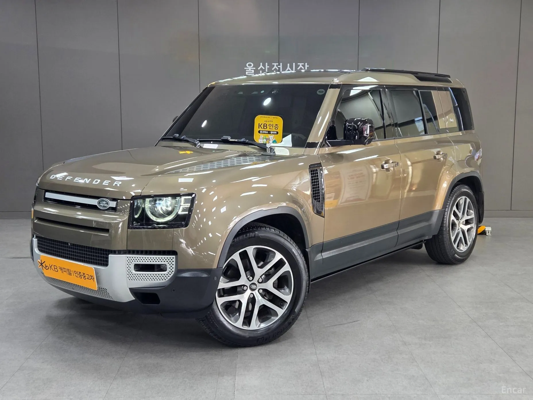 Defender (L663)