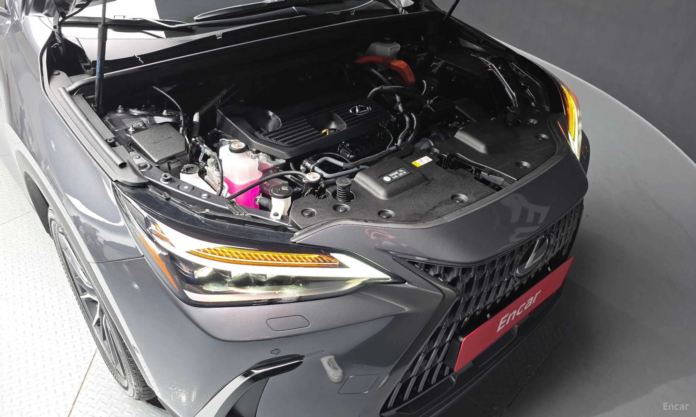 Lexus NX350h Gen 2 превью 6