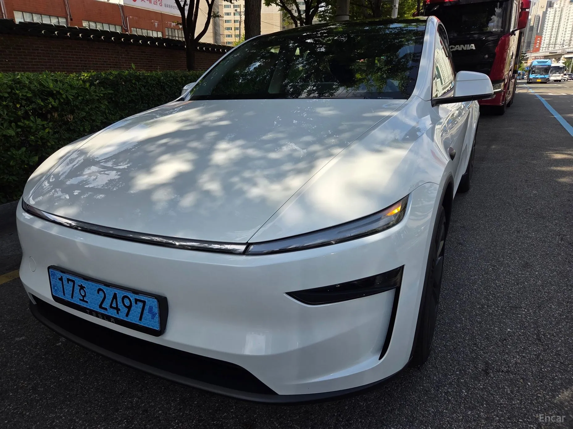 Tesla Model Y превью 3
