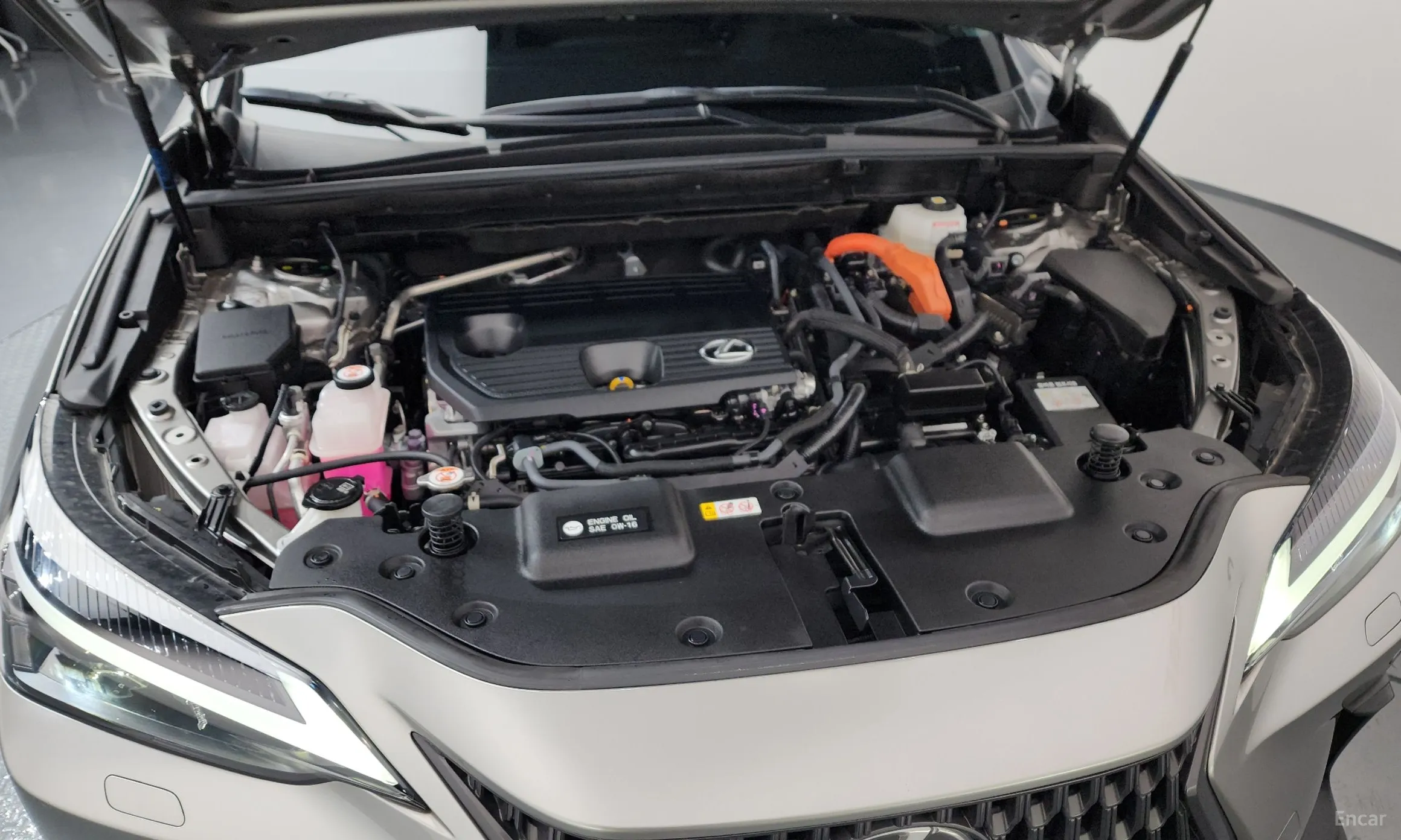 Lexus NX350h Gen 2 превью 6