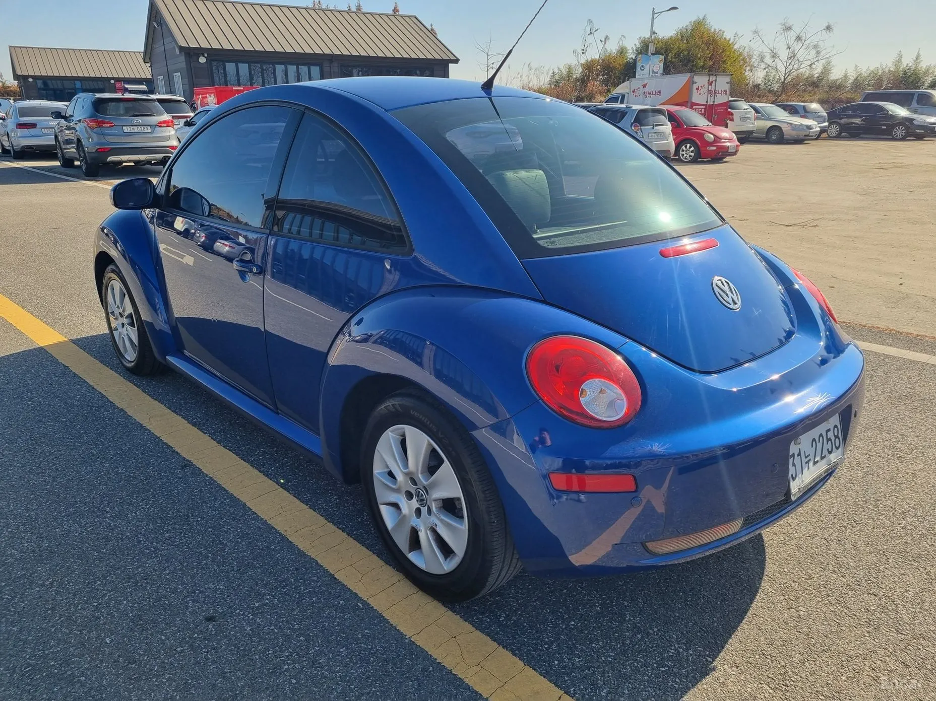 Volkswagen New Beetle превью 6