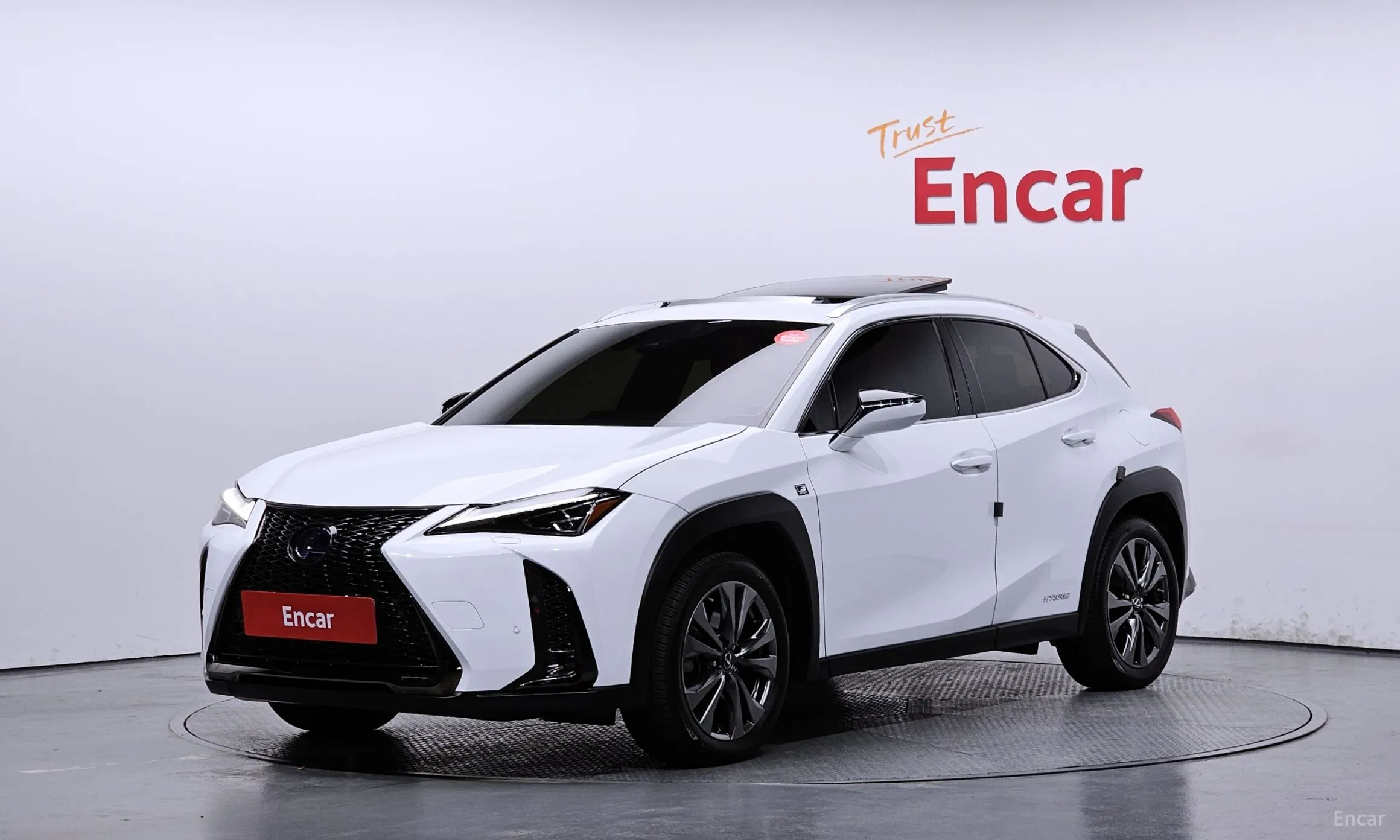 Lexus UX250h