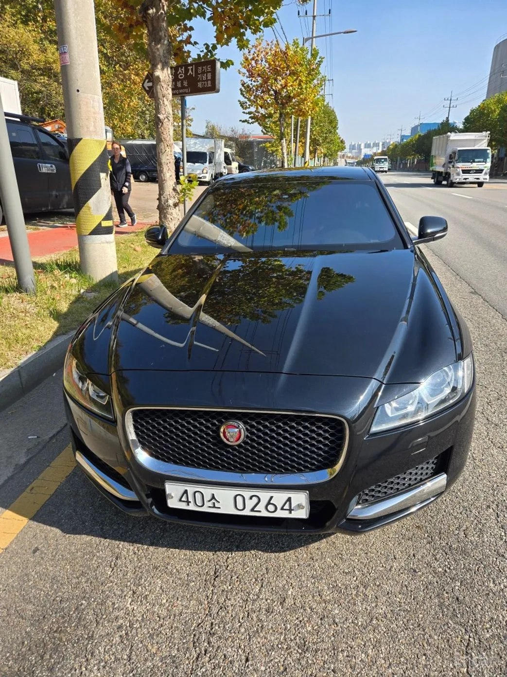 XF (x260)