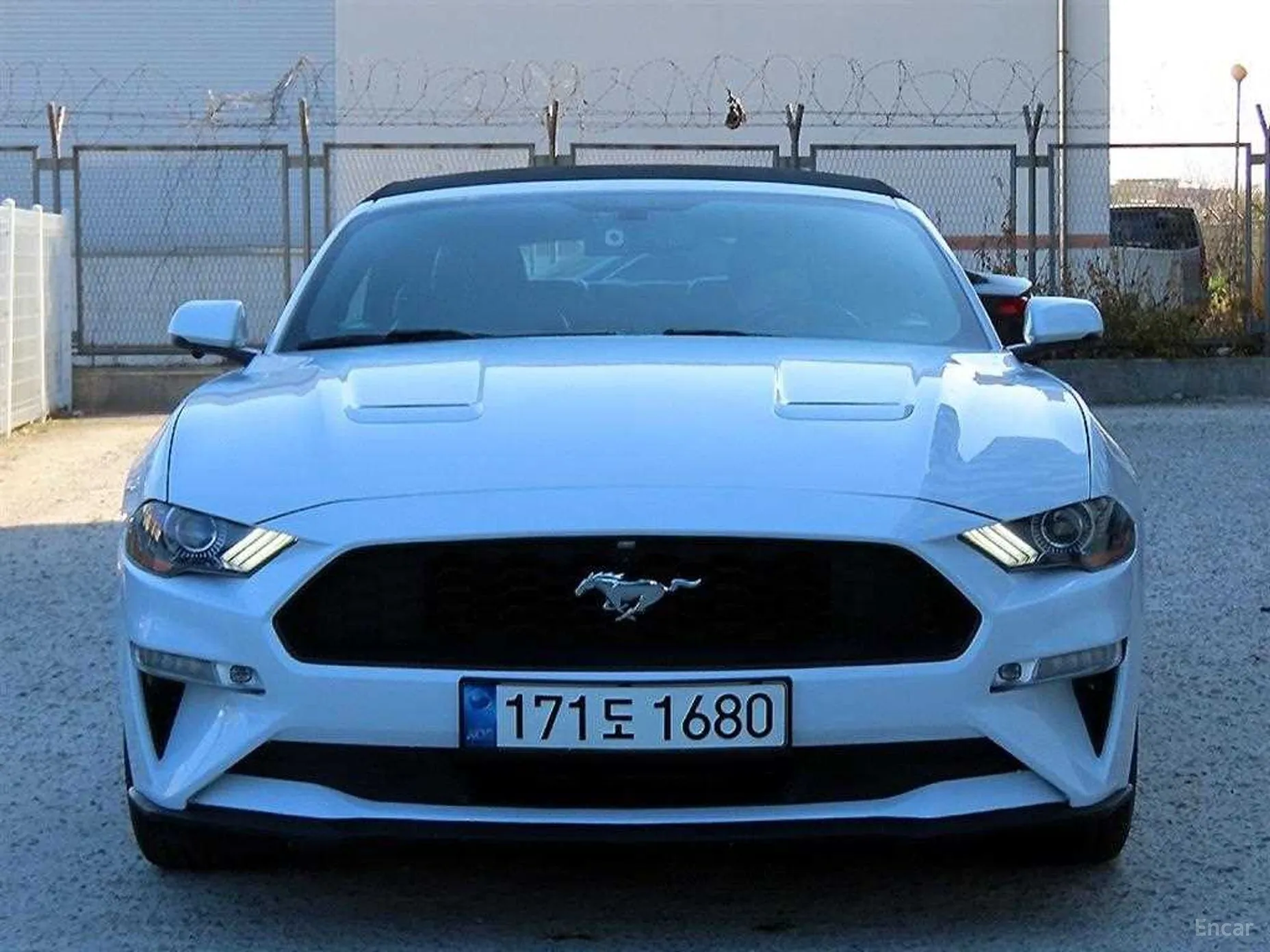 Mustang
