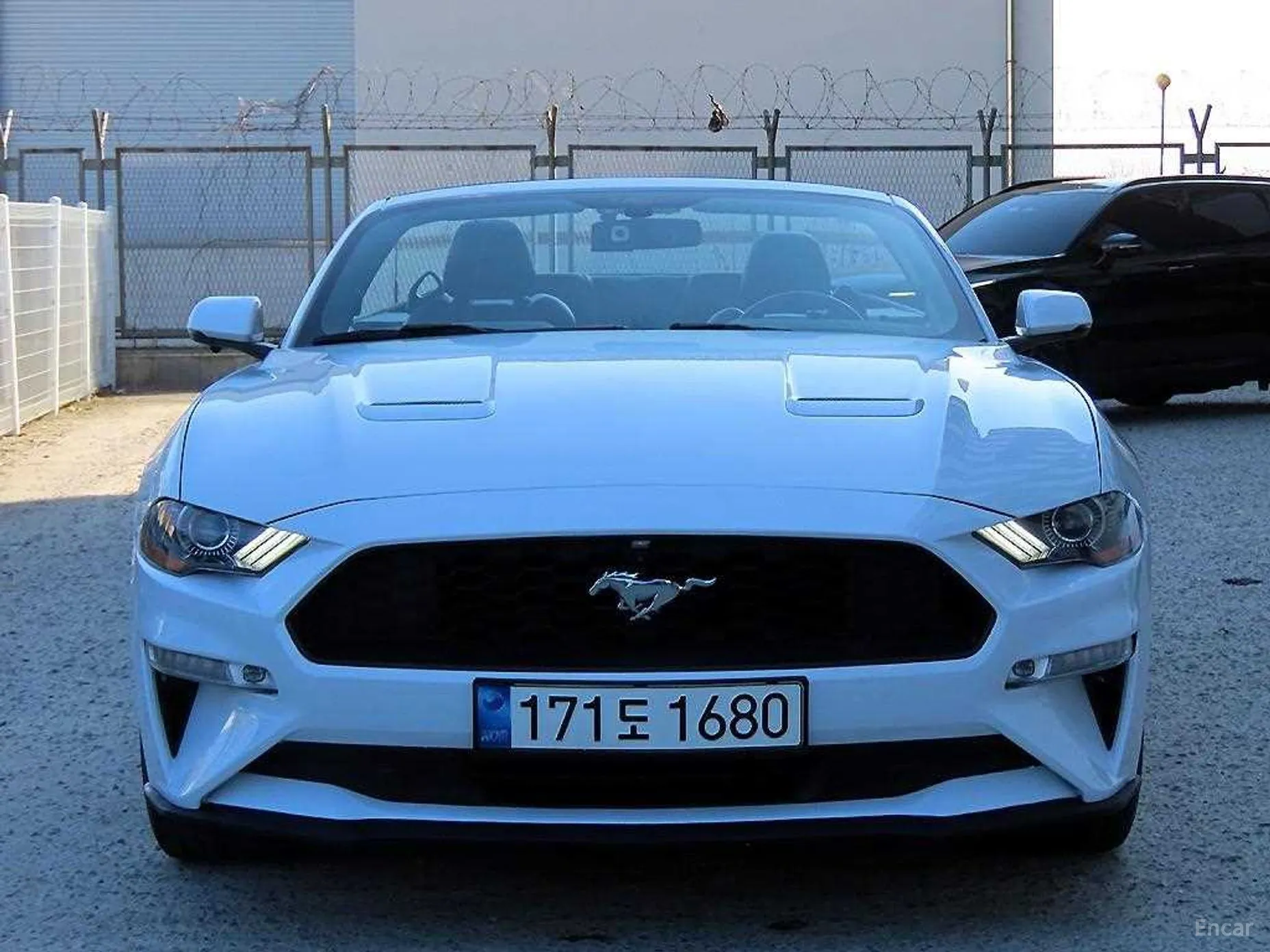 Ford Mustang превью 5