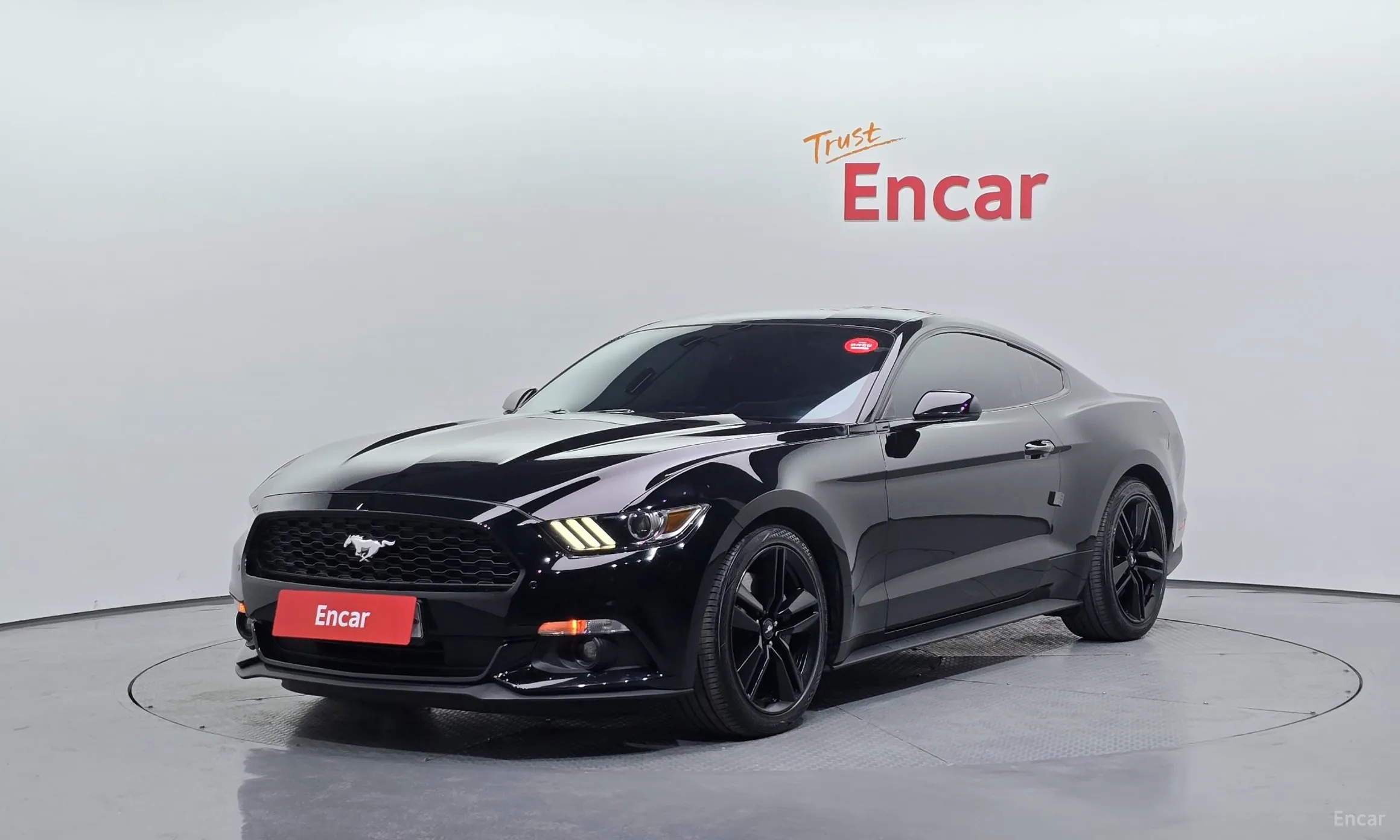 Mustang