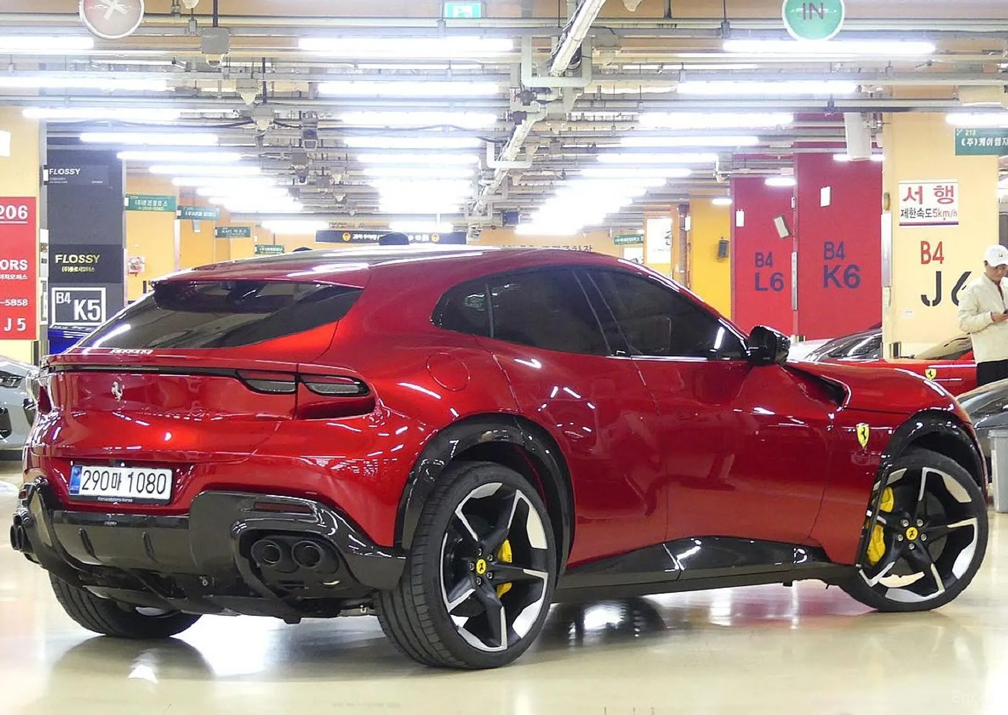 Ferrari Puro Sange