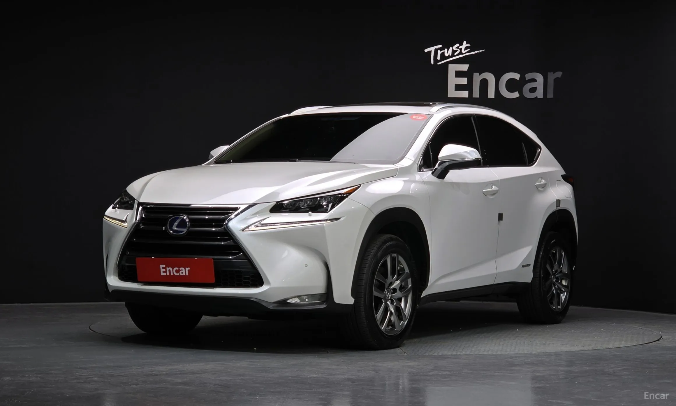 Lexus NX300h