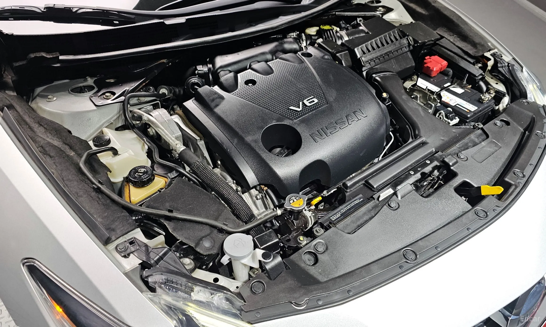 Nissan Maxima (A36) превью 6