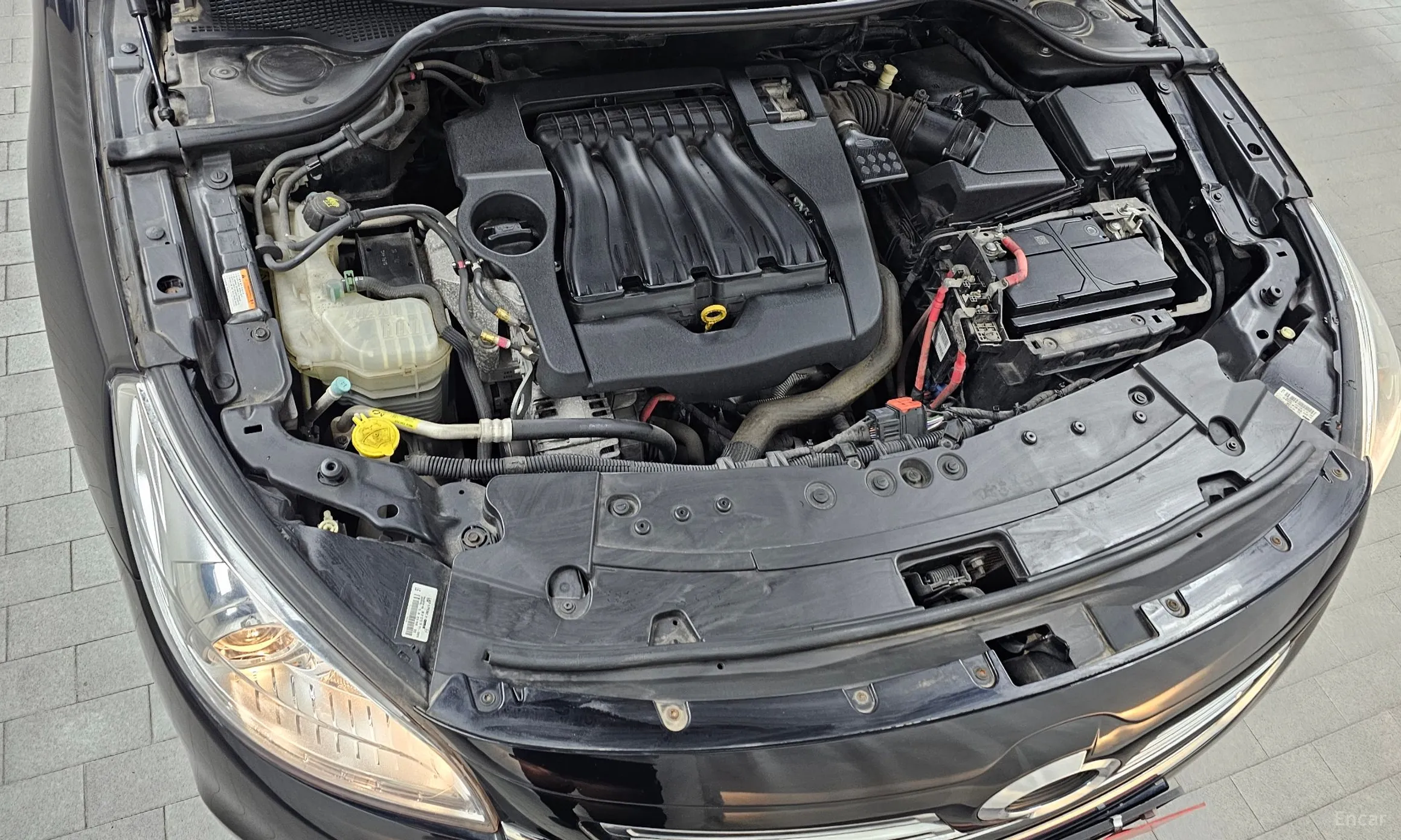 Renault Korea (Samsung) SM7 превью 6