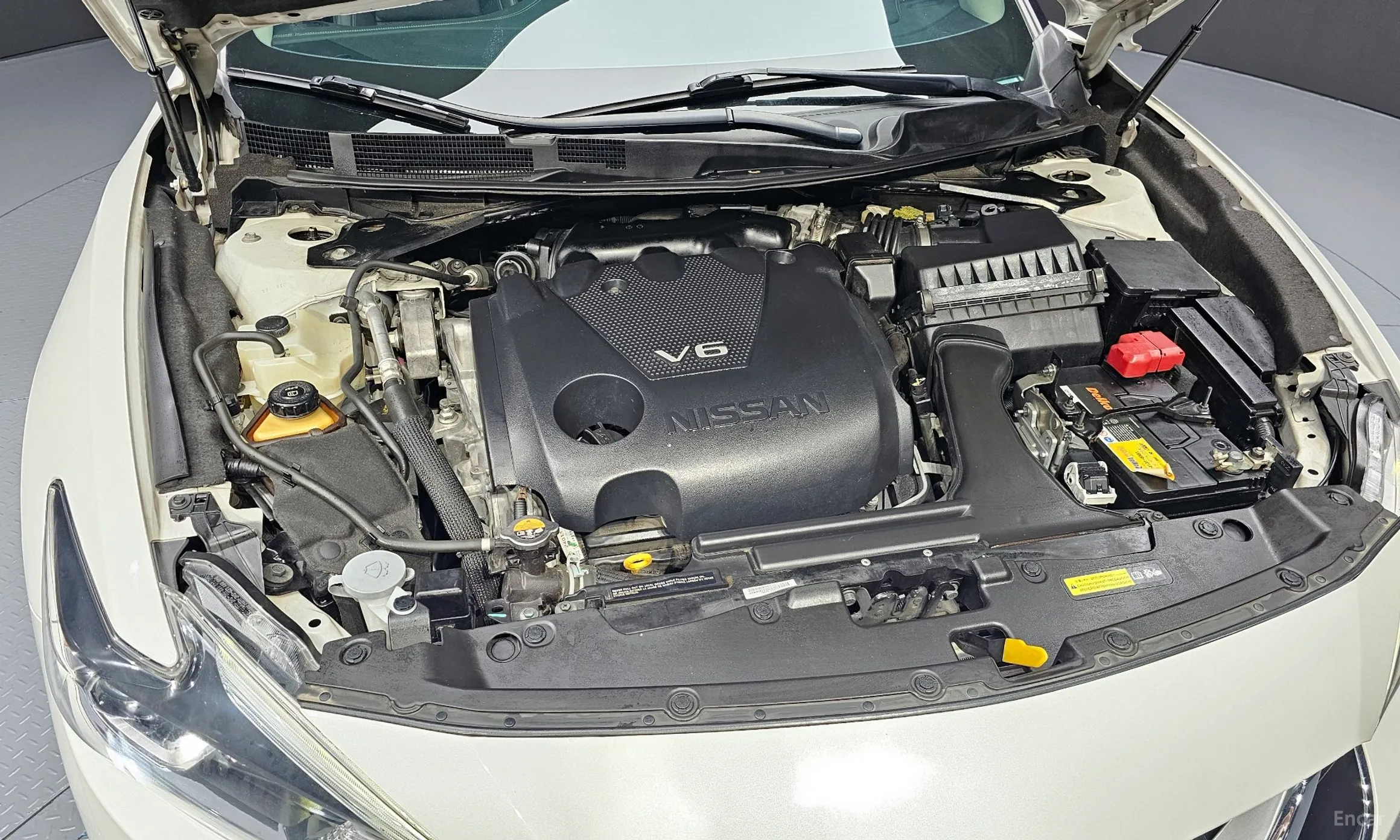 Nissan Maxima (A36) превью 6