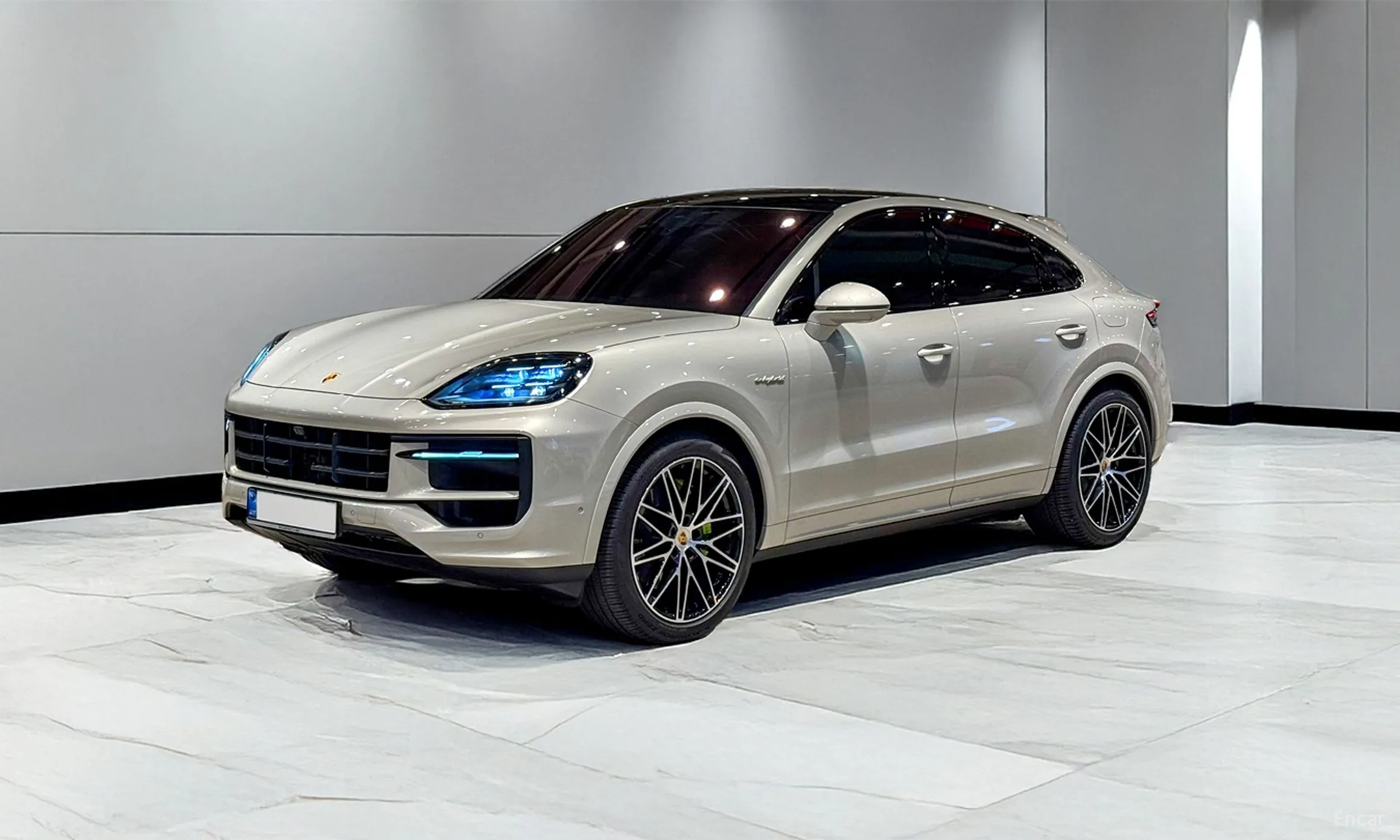 Cayenne (PO536)