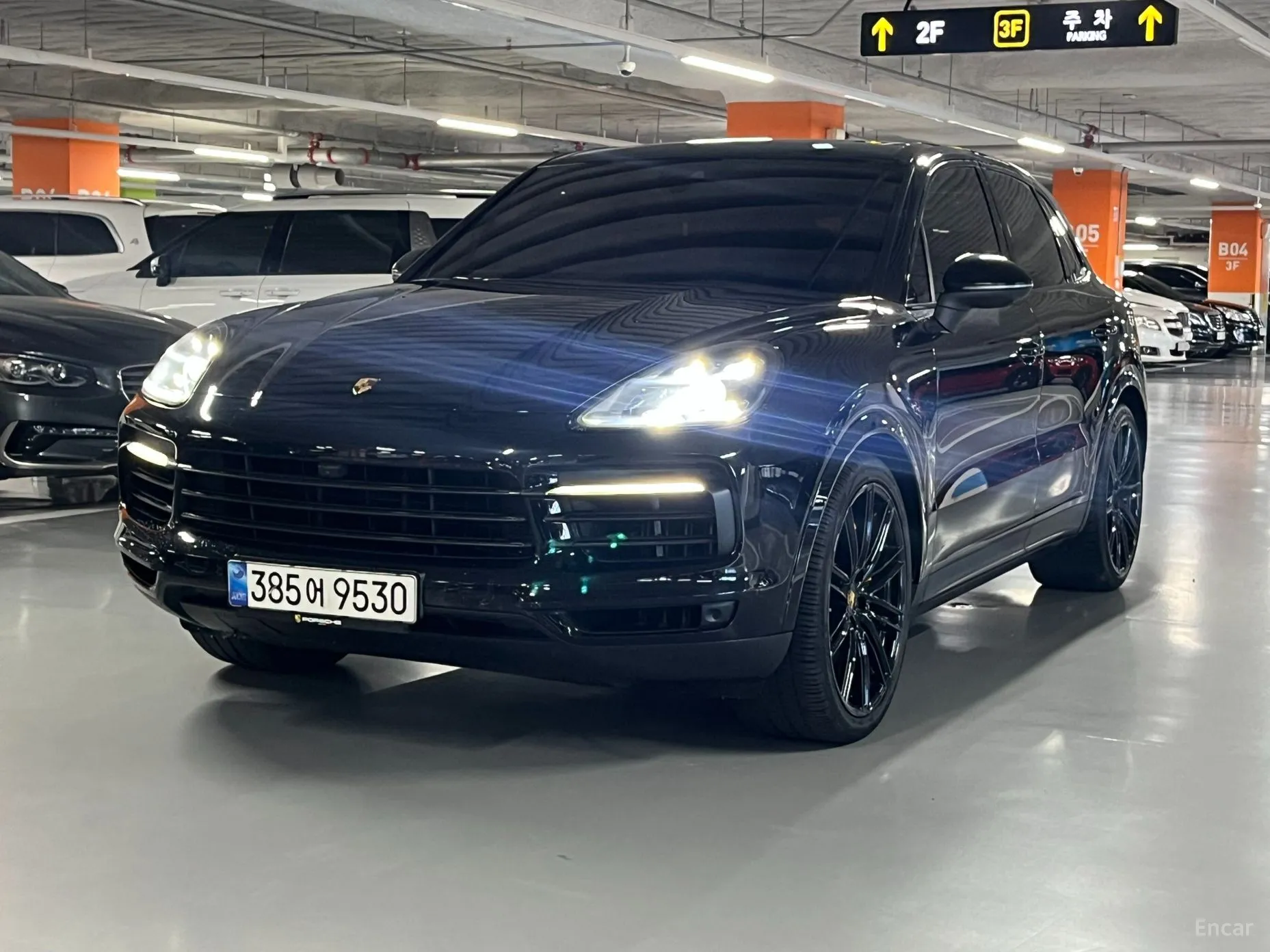 Cayenne (PO536)