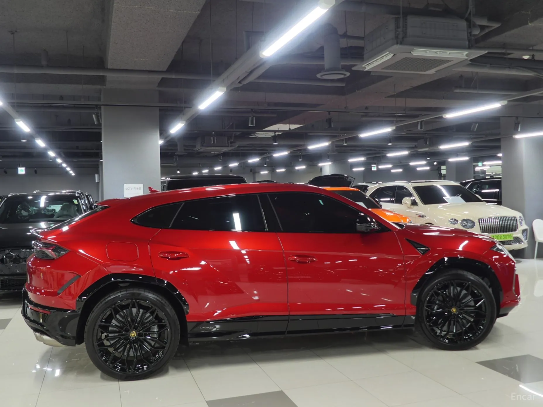 Lamborghini Urus превью 2