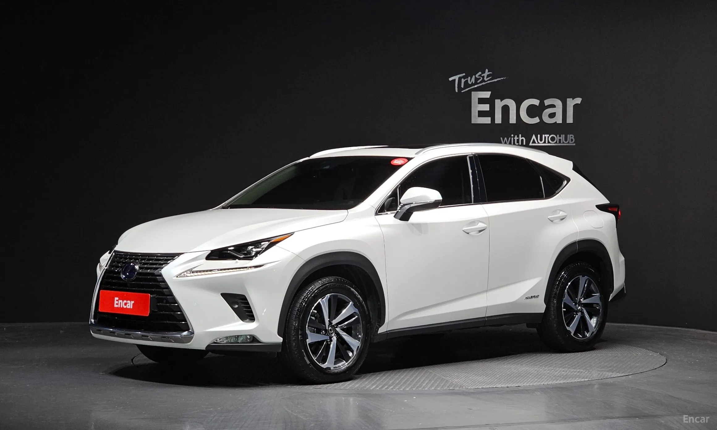 Lexus NX300h