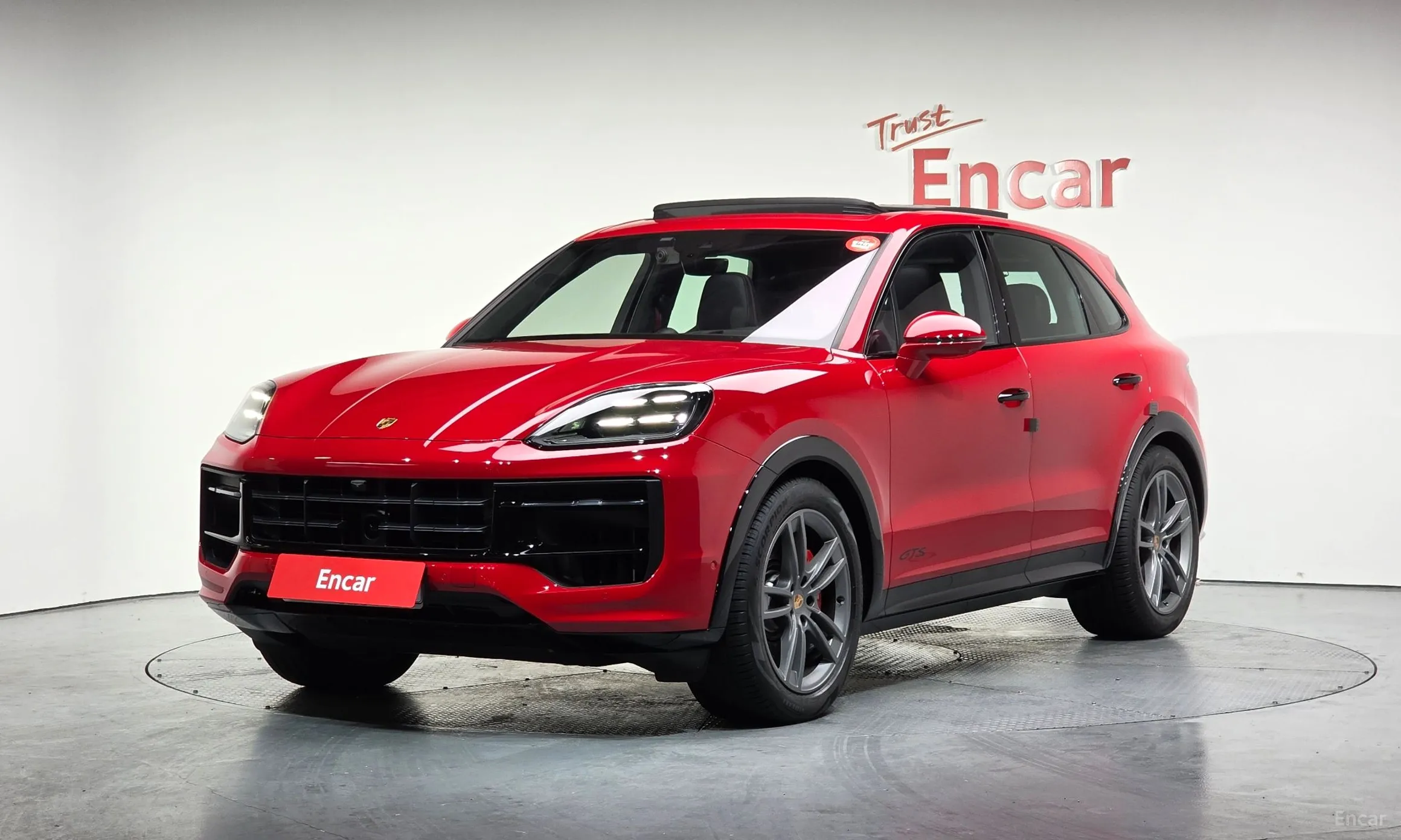Cayenne (PO536)
