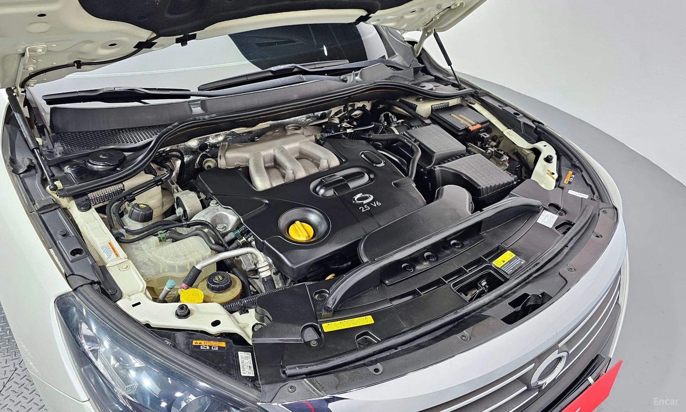 Renault Korea (Samsung) SM7 превью 6