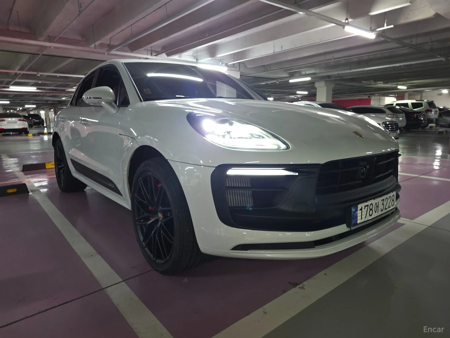 Macan