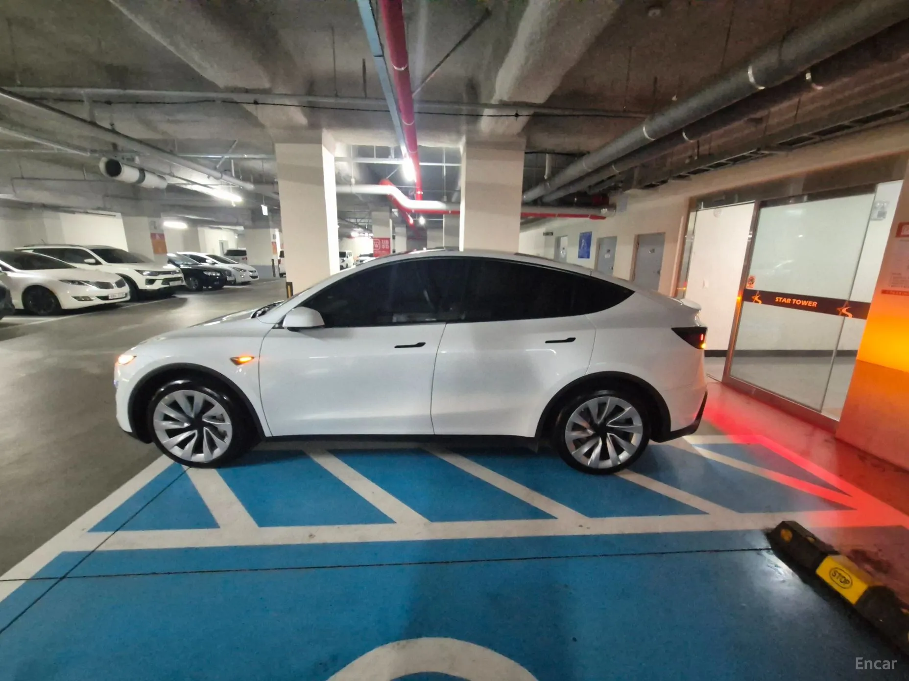 Tesla Model Y превью 5