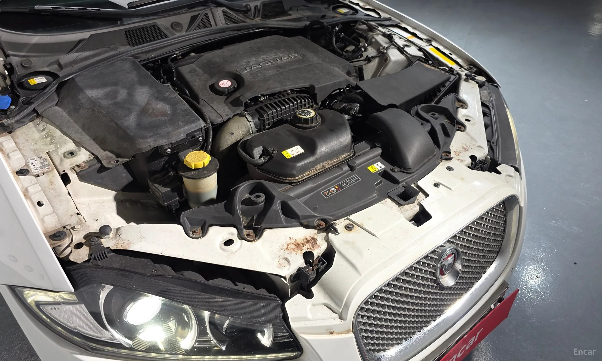 Jaguar New XF превью 6
