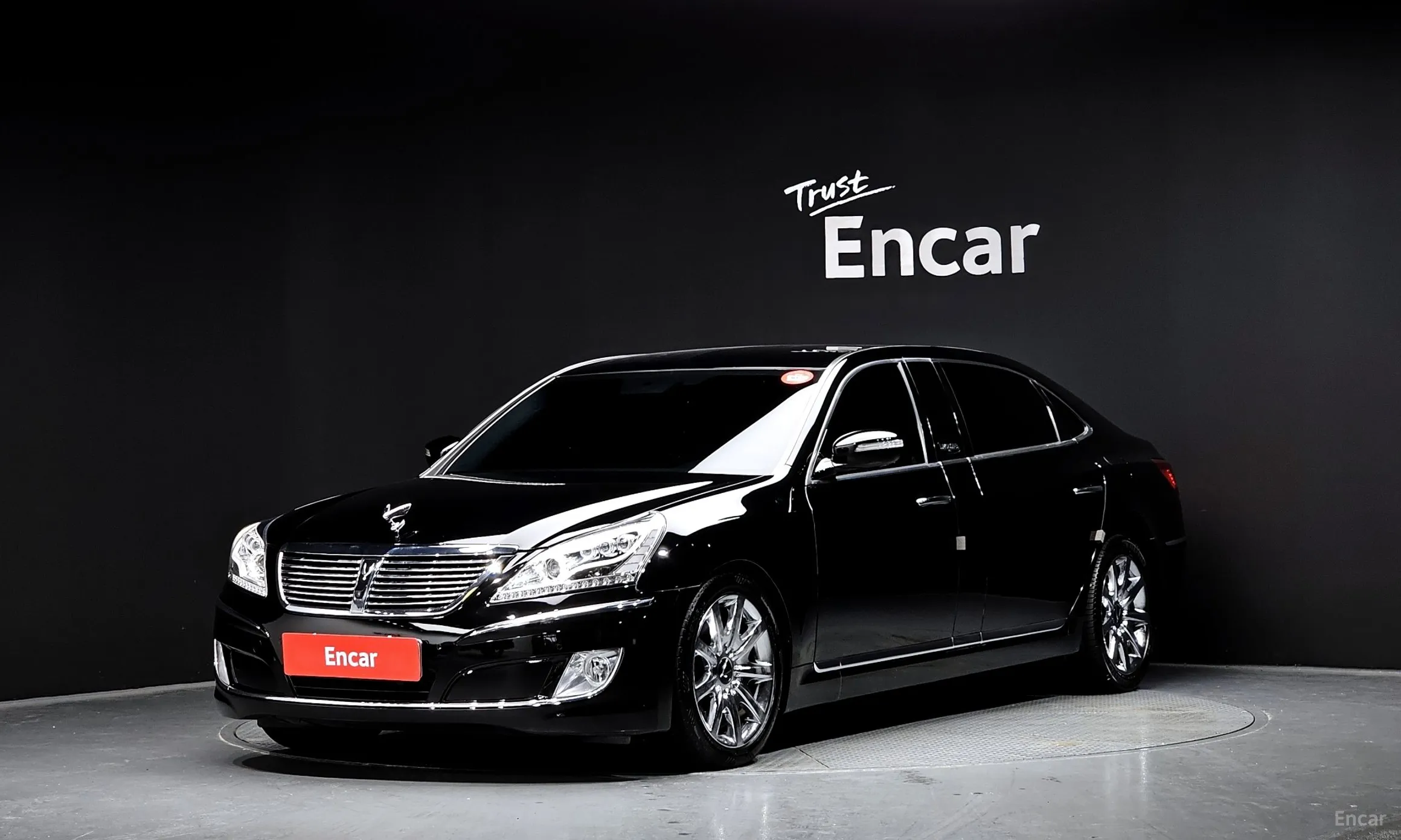 Equus (new)