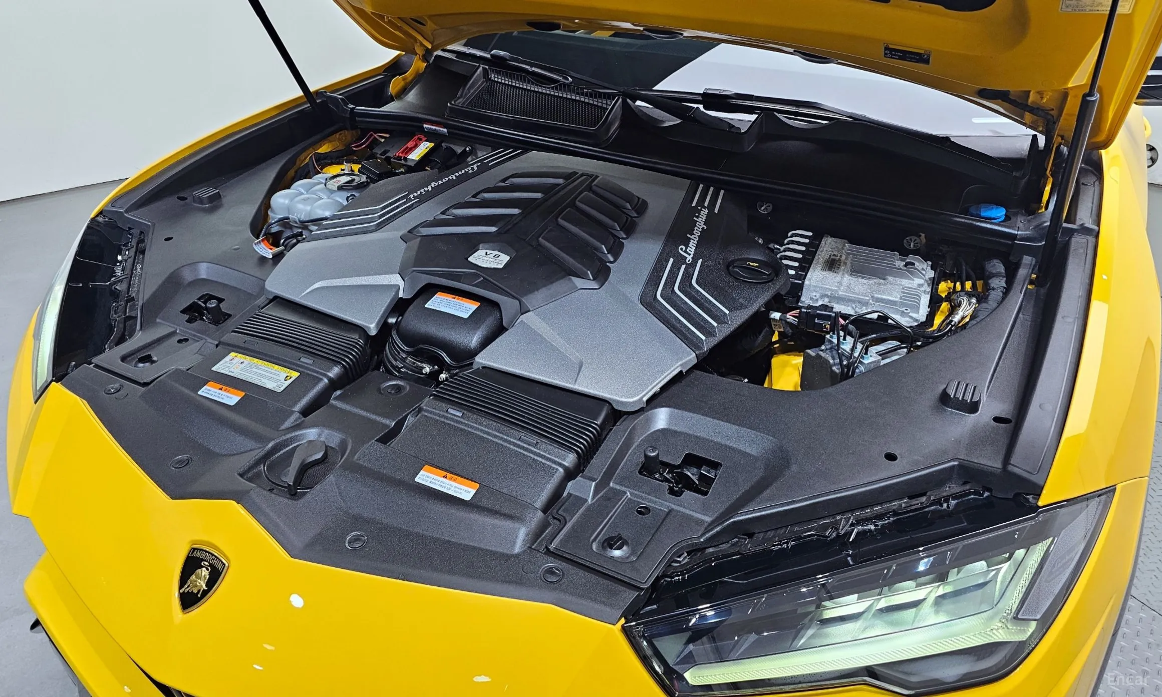 Lamborghini Urus превью 6