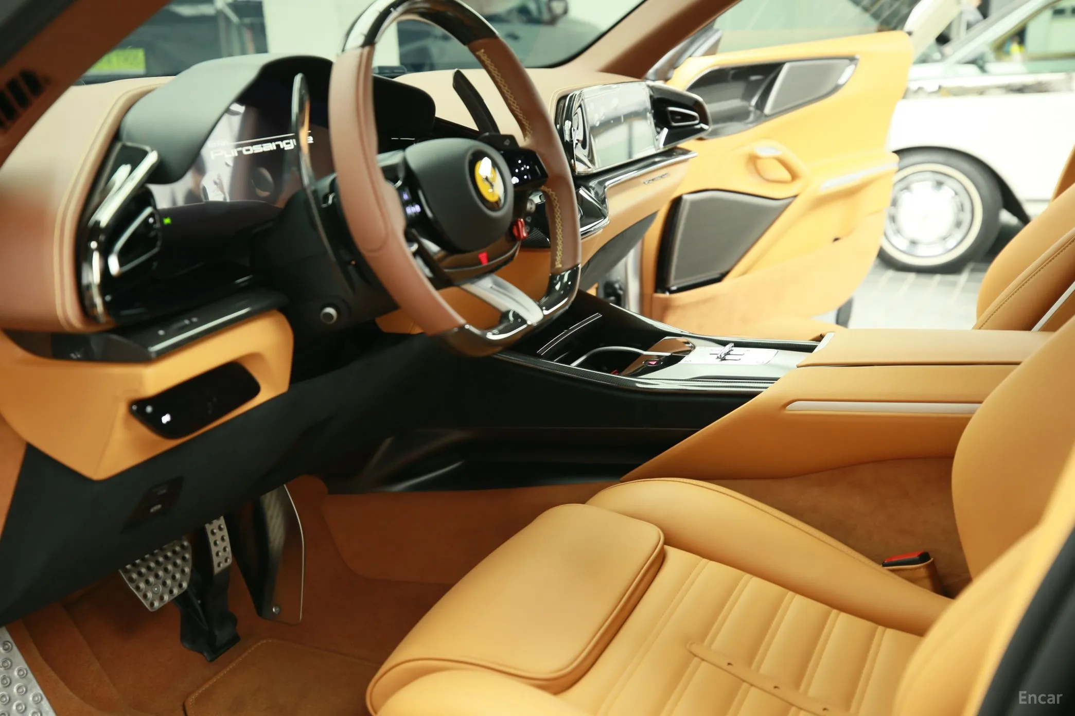 Ferrari Puro Sange превью 7